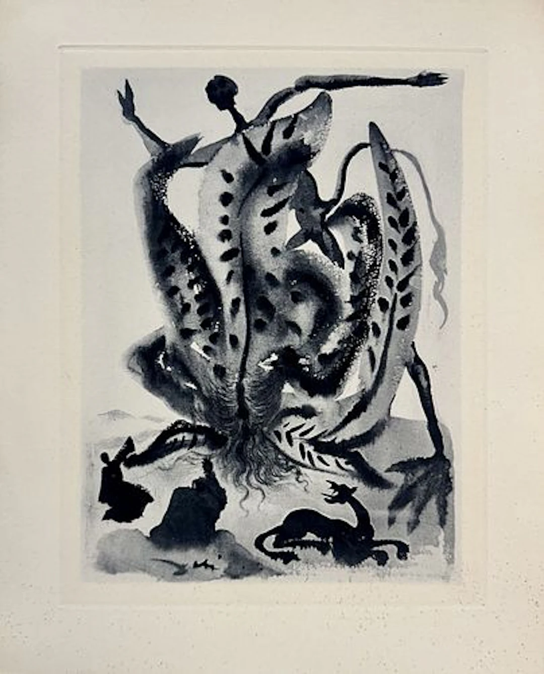 Salvador Dali - Greed