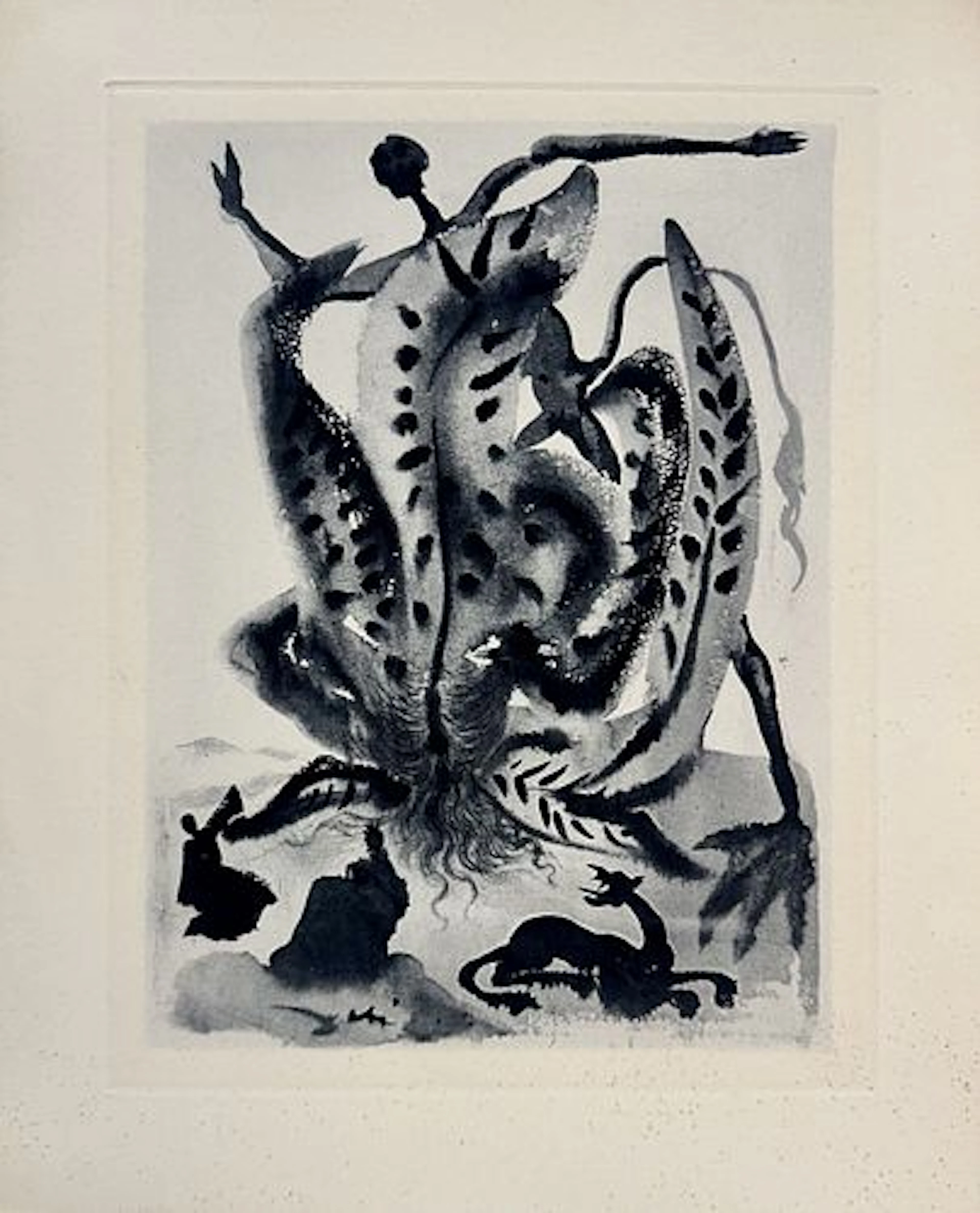 Salvador Dali - Greed