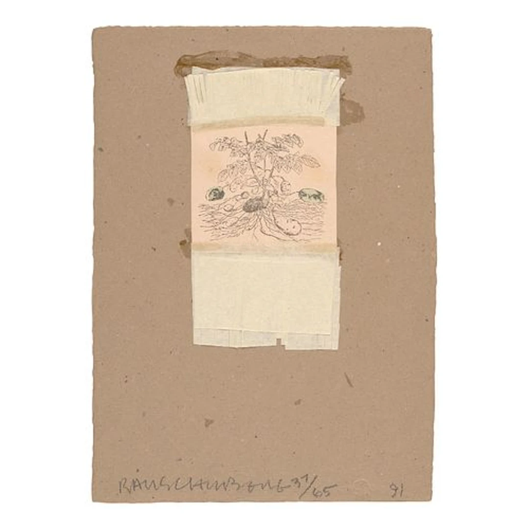 Robert Rauschenberg - Shirtboard (from Shirtboards Morocco, Italy