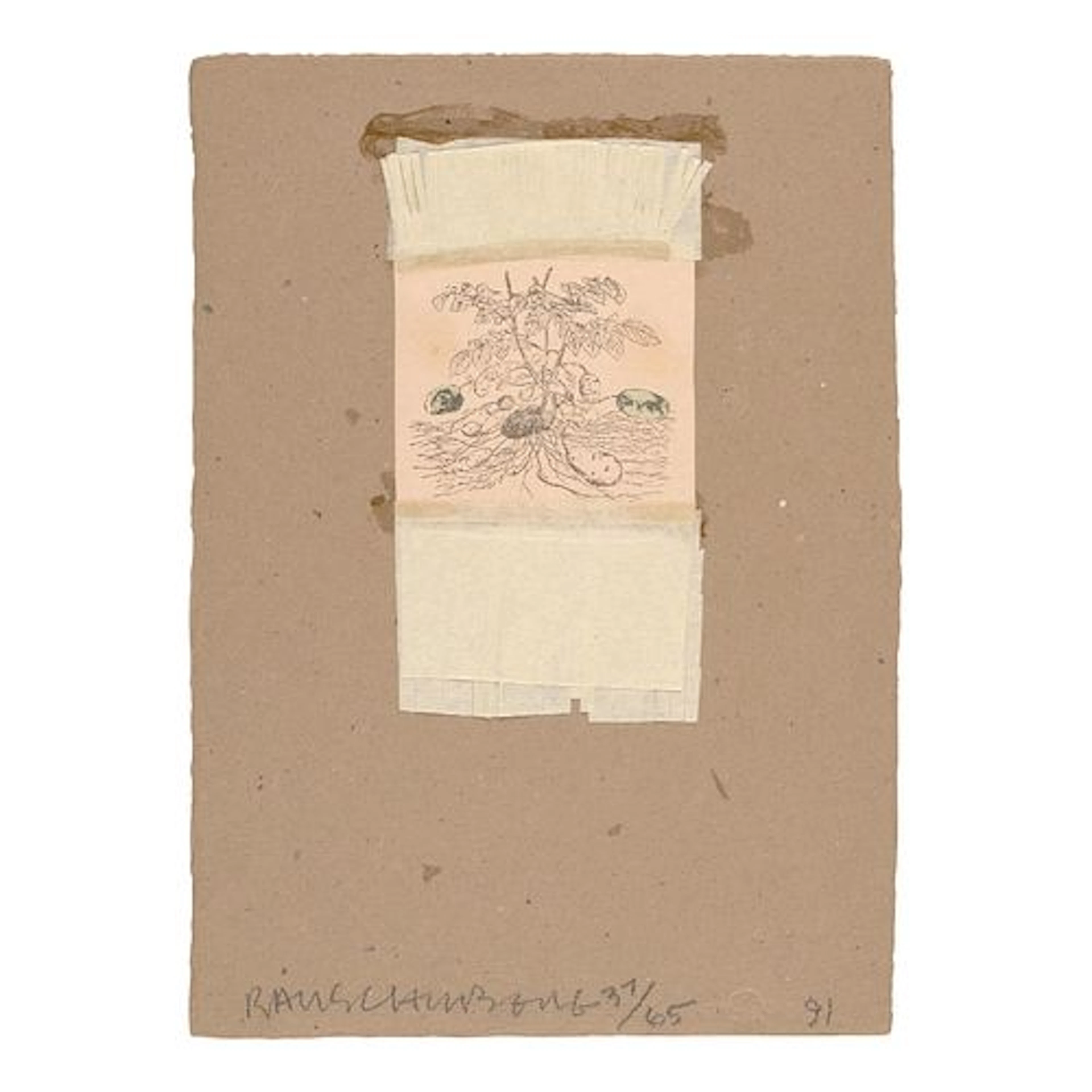 Robert Rauschenberg - Shirtboard (from Shirtboards Morocco, Italy