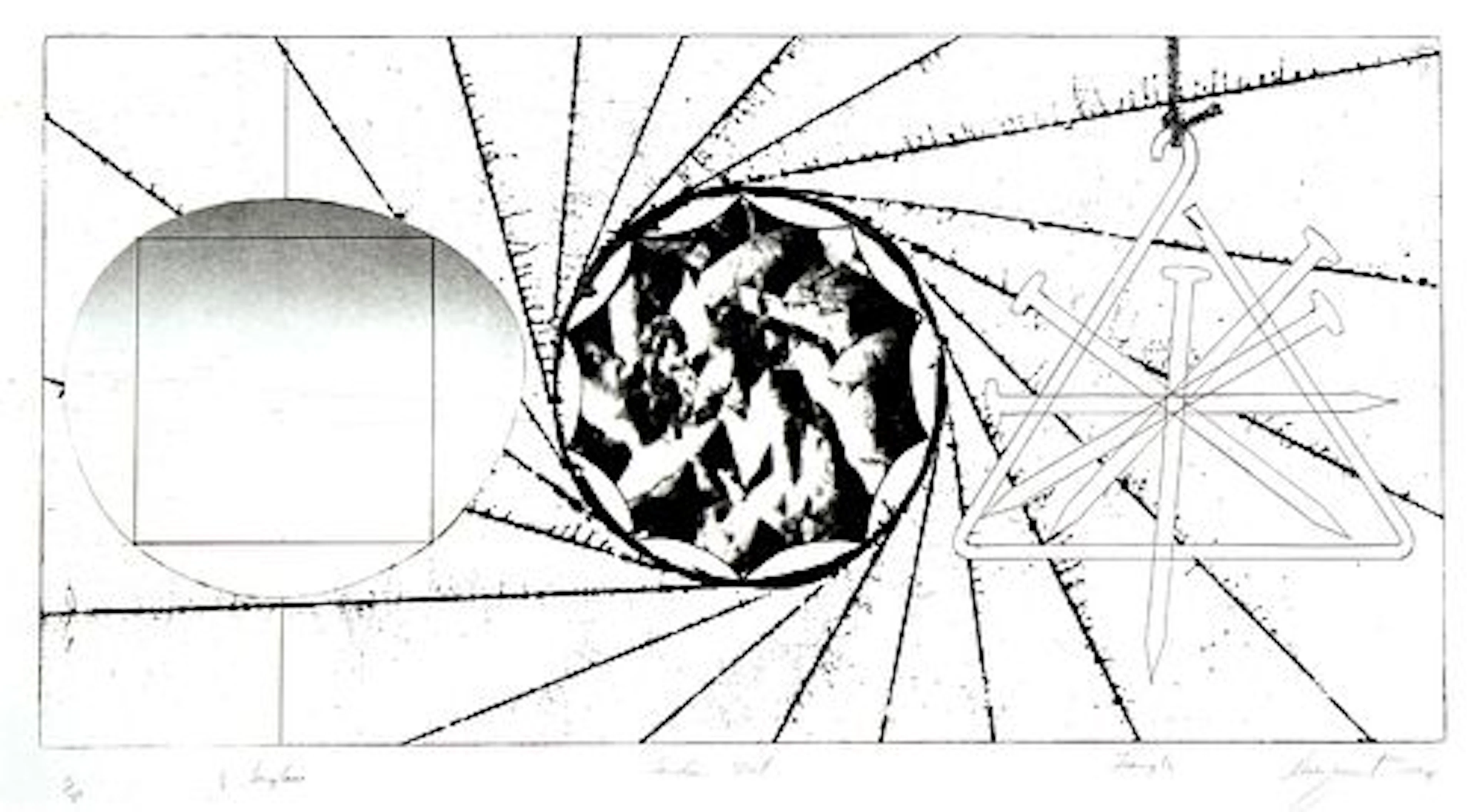 James Rosenquist - 1/2 Sunglass, Landing Net, Triangle