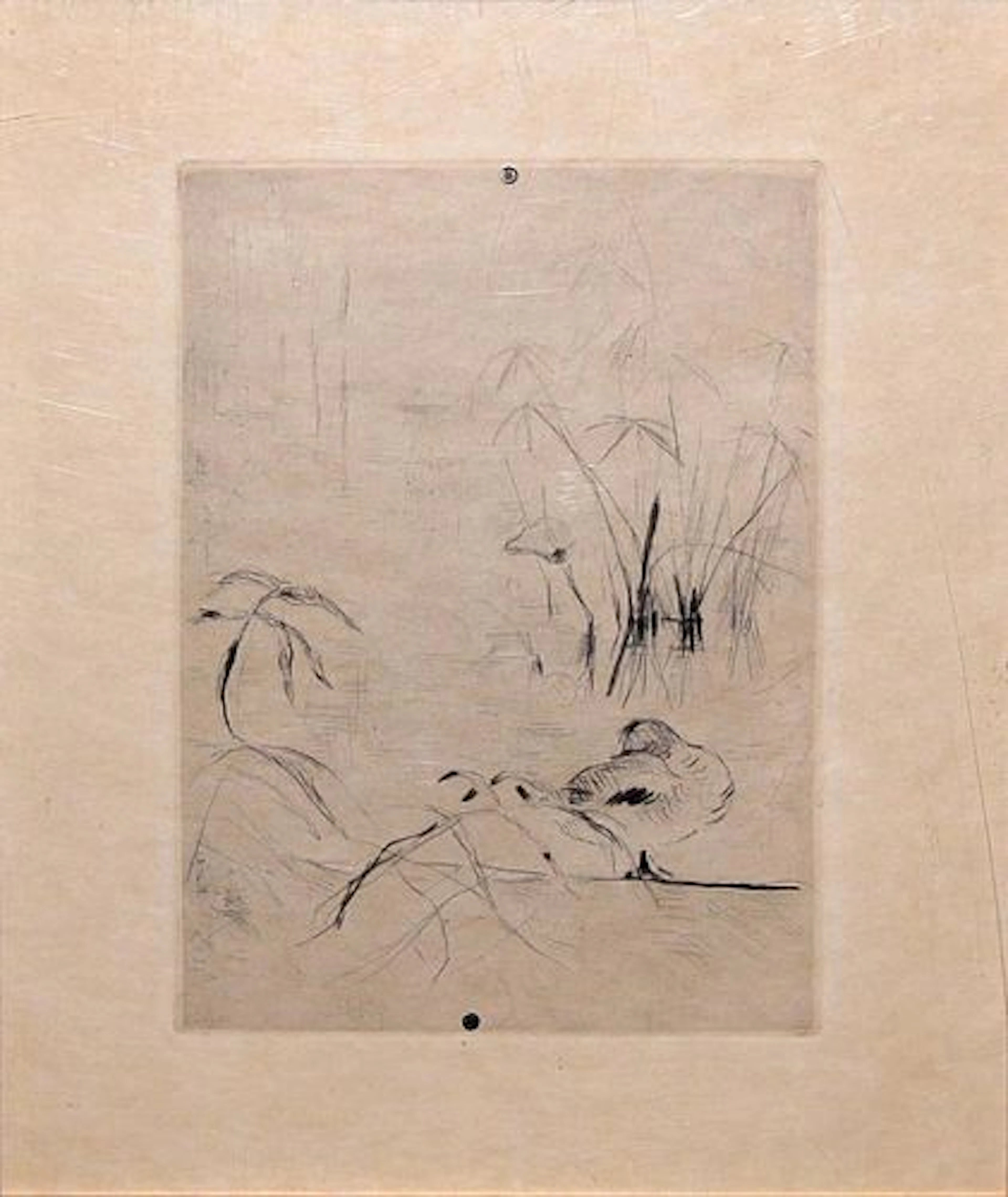 Berthe Morisot - Canard
