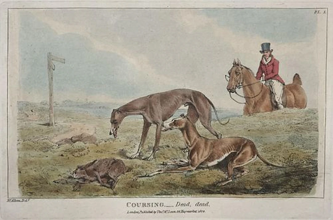 Henry Alken - Coursing Dead