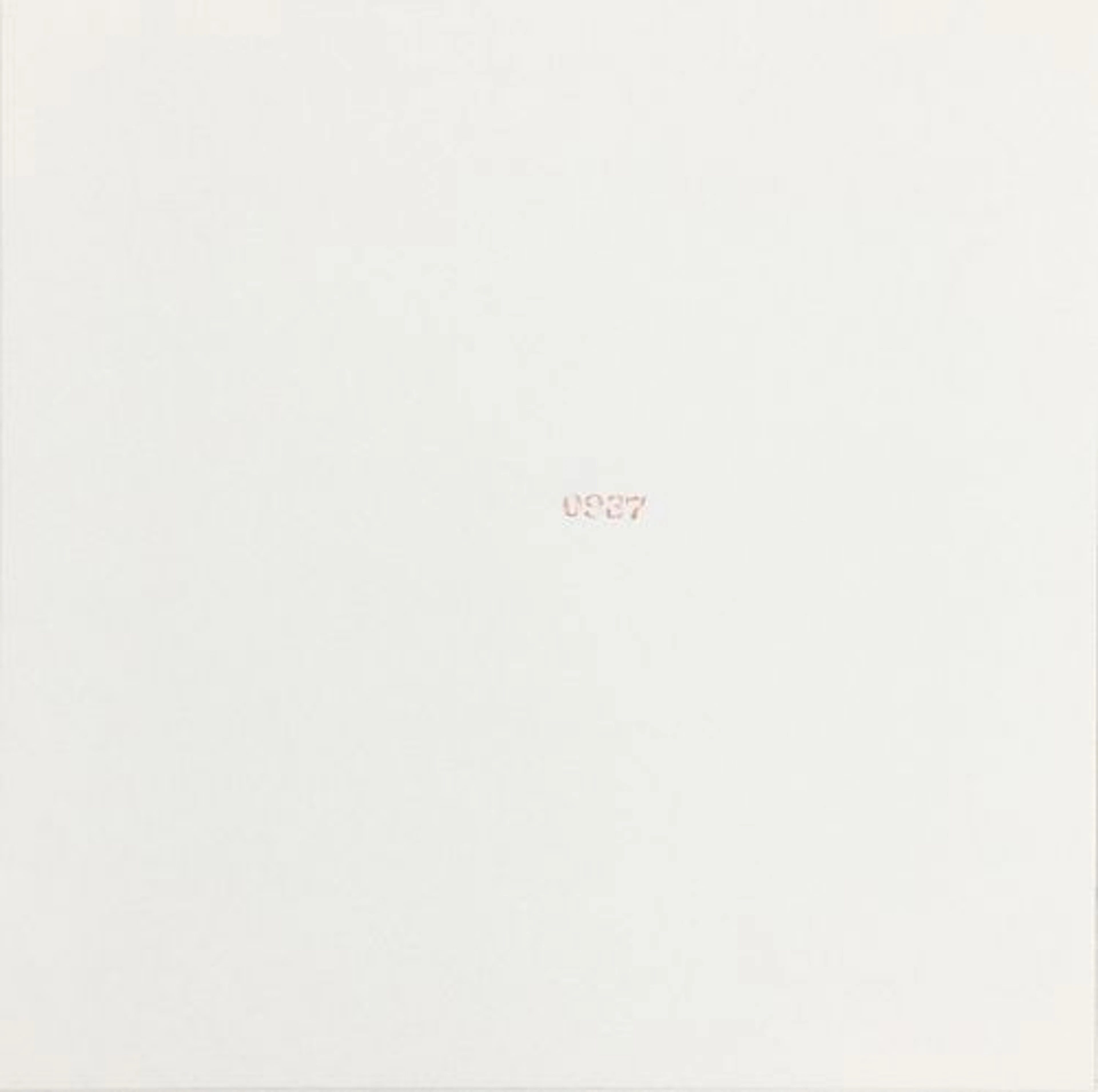 Carl Andre - Untitled