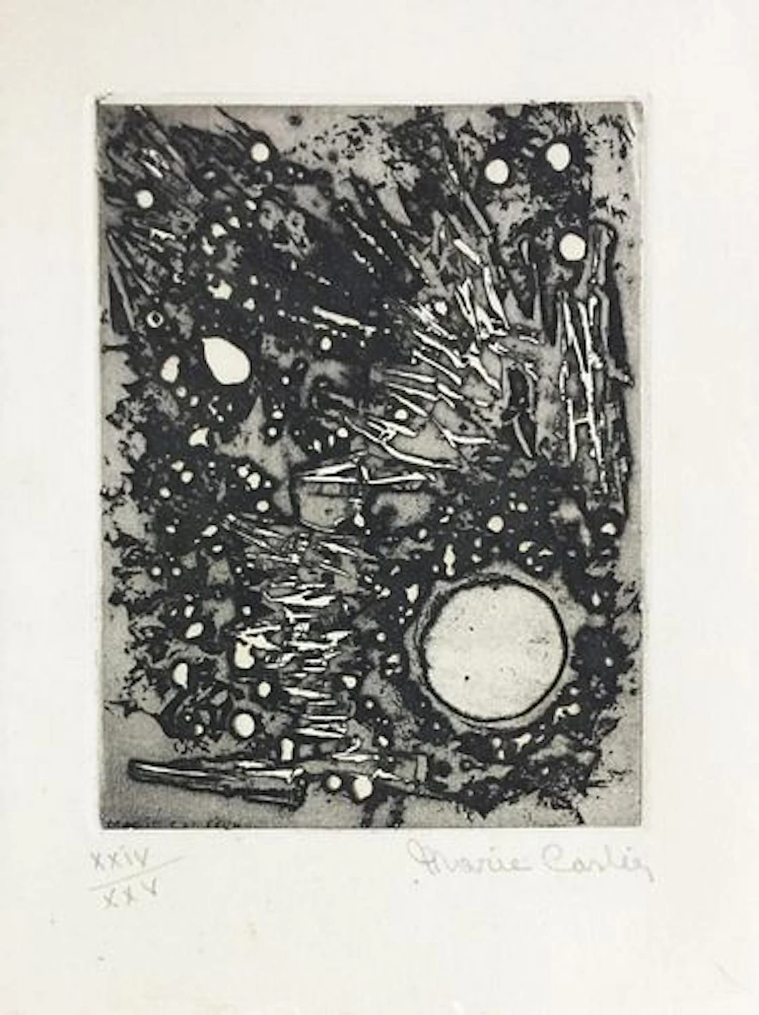 Marie Carlier - Untitled XVII
