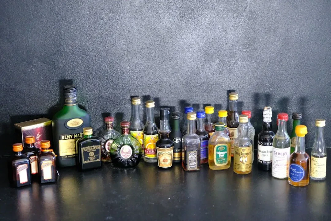 Set of miniature bottles, including: Remy MARTIN: 2 VSOP, 2 XO (in