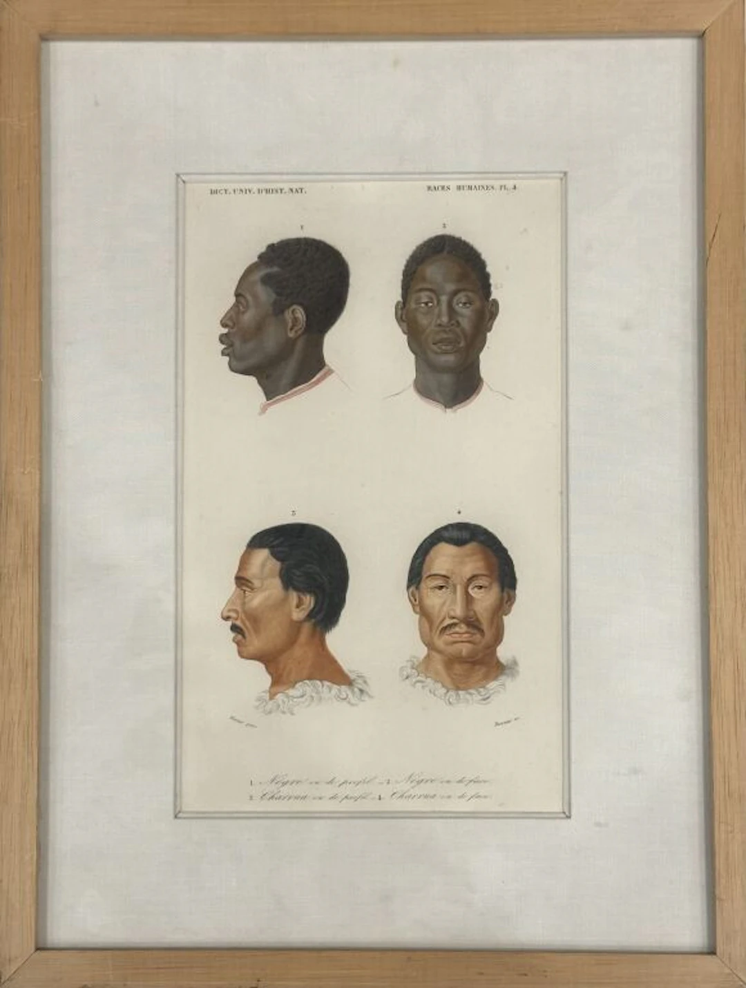 Dictionary of Natural History. Human Races, Pl. 4. Two portraits viewed