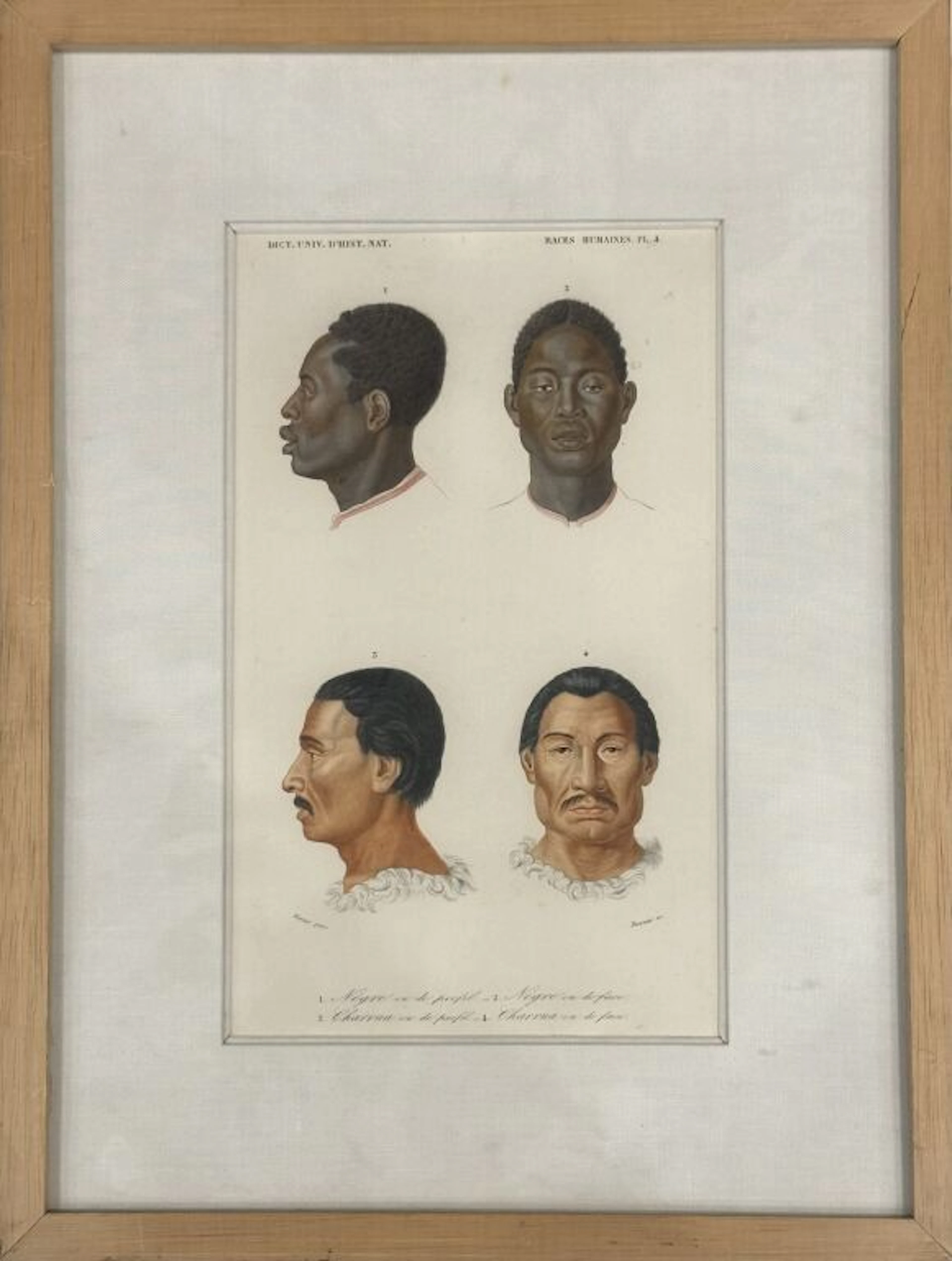 Dictionary of Natural History. Human Races, Pl. 4. Two portraits viewed
