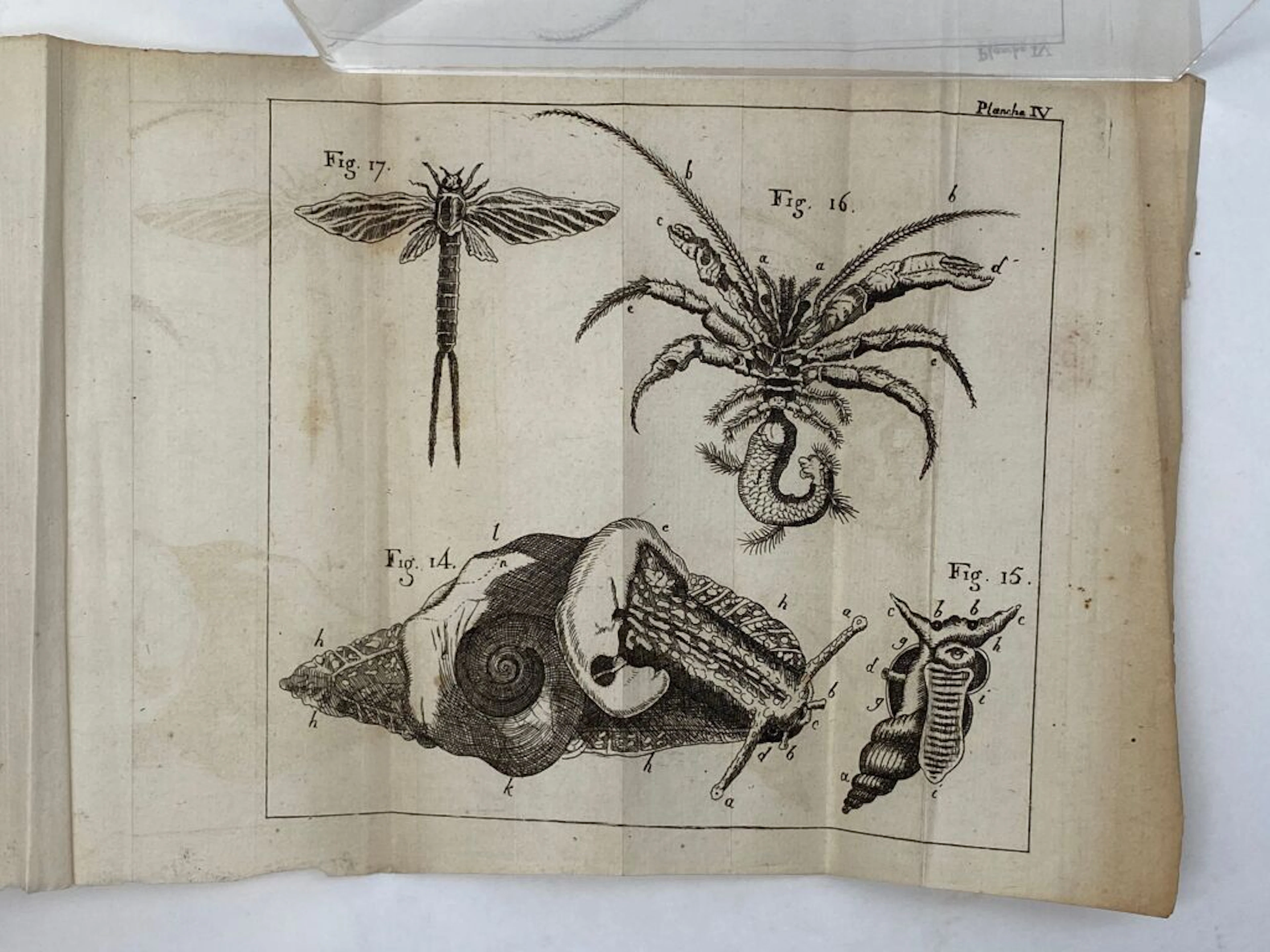 [BEAURIEU, Gaspard Guillard de]. Abridged History of Insects. Amusing