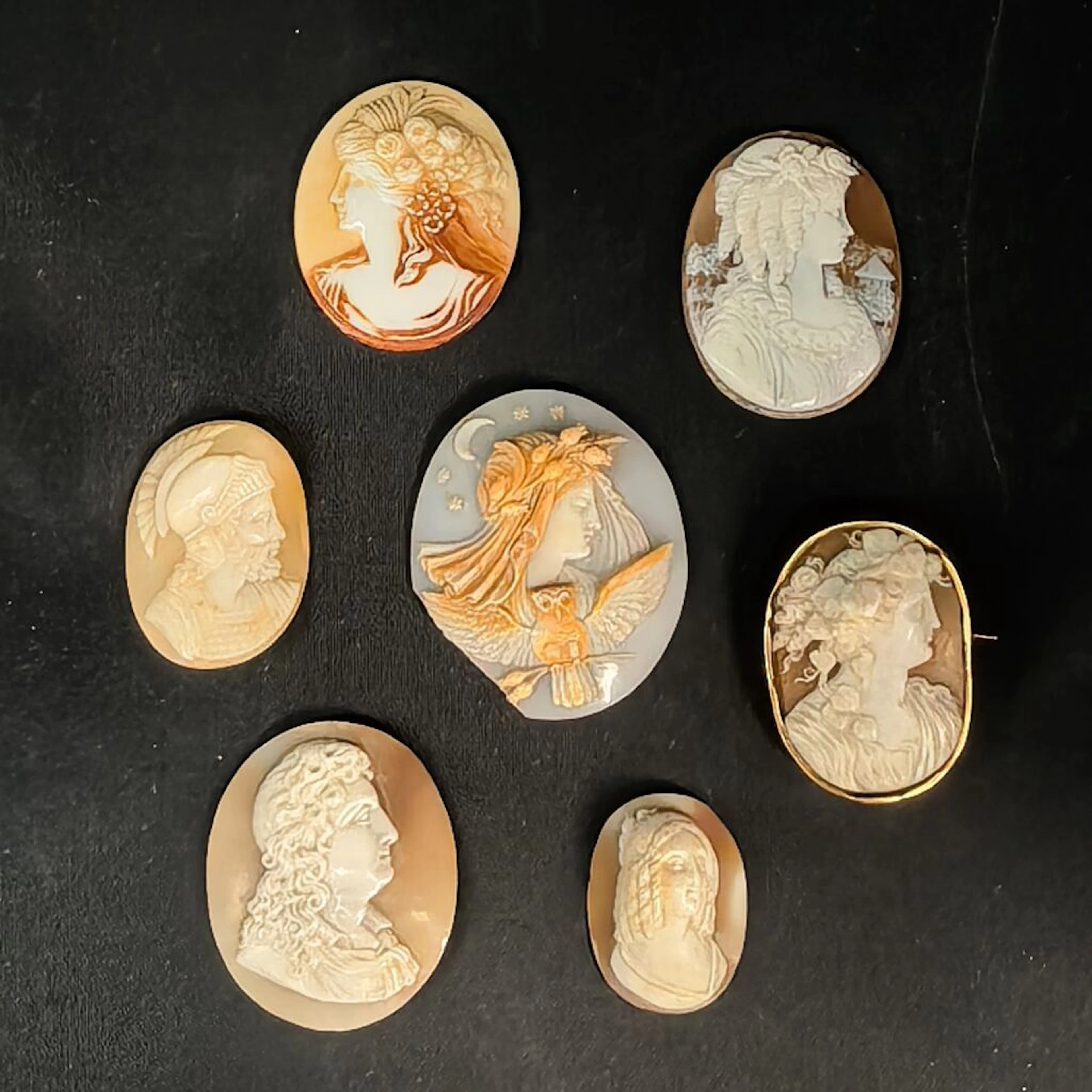 Set of 6 multi-layered shell cameos comprising: - a man wearing a