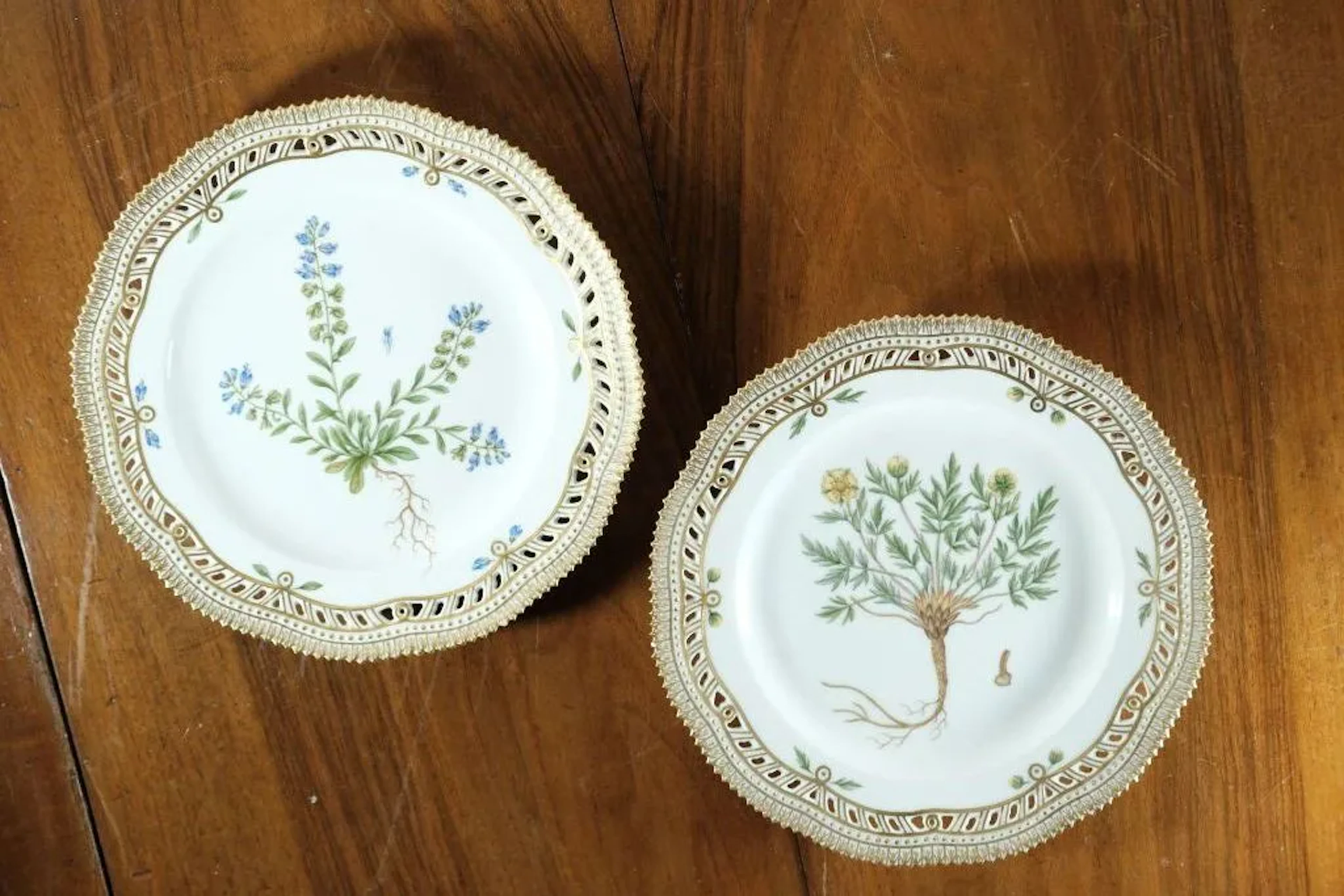 Pair of Copenhagen Royal Porcelain dessert plates with a polychrome