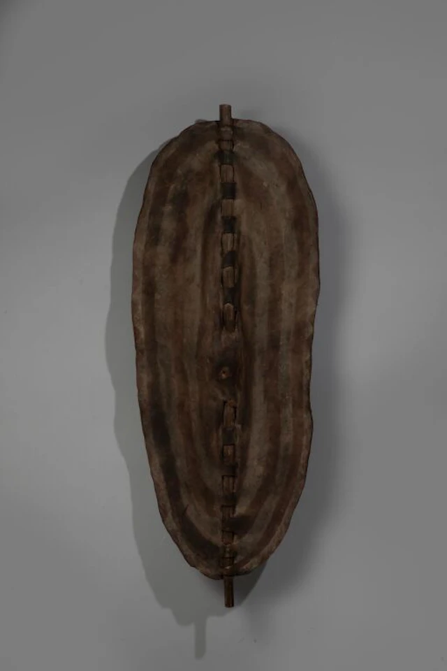 An oblong shield made of skin stretched over a wooden shaft that runs