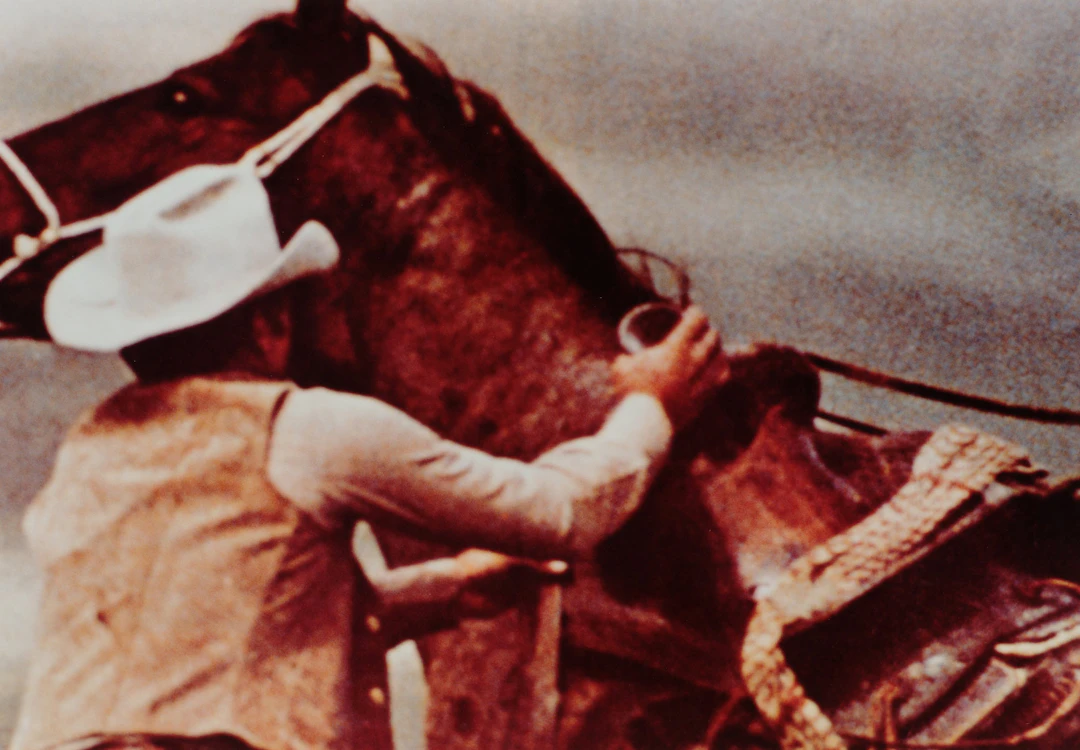 Cowboys No. 8