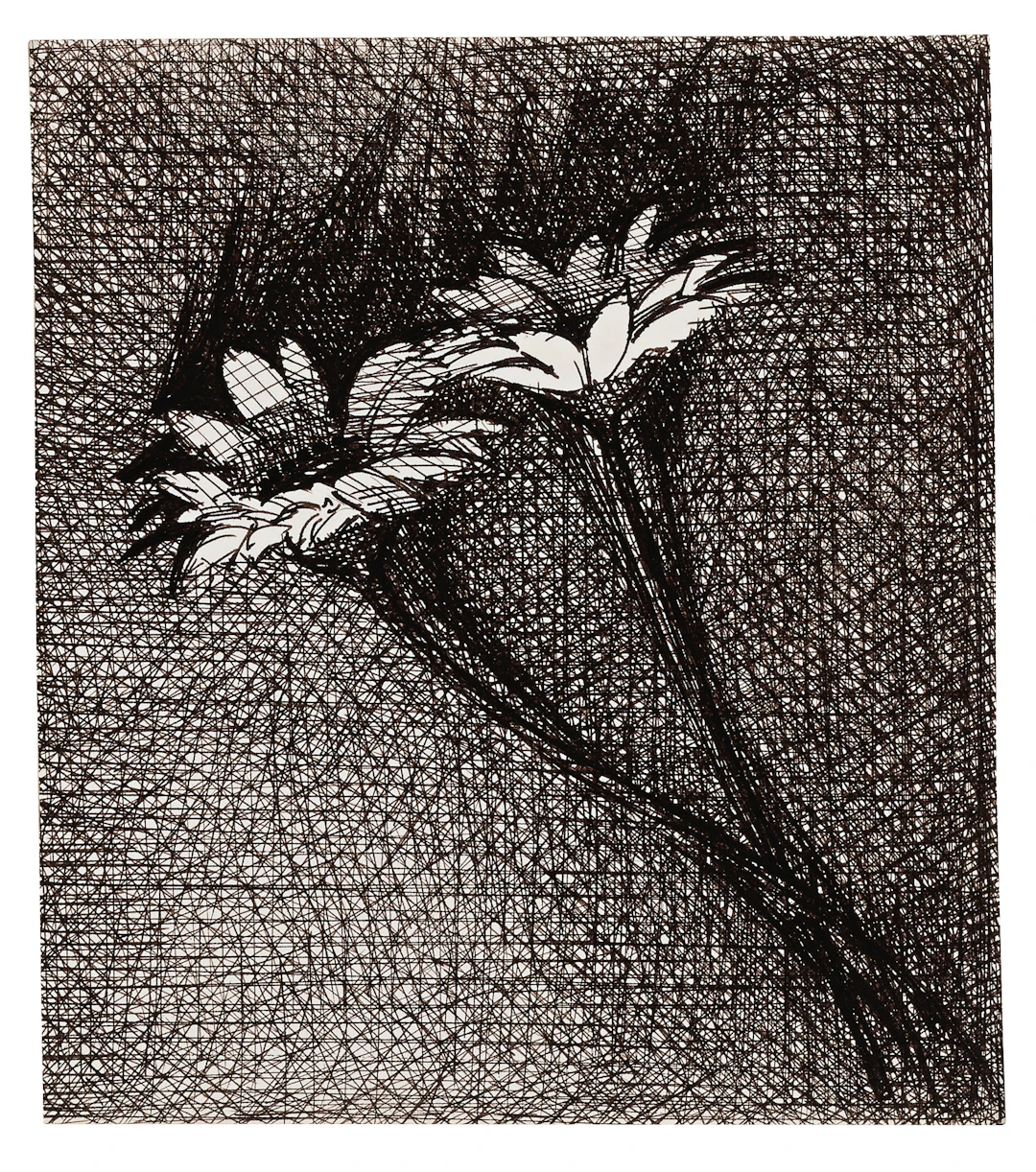 Untitled (Two Flowers)