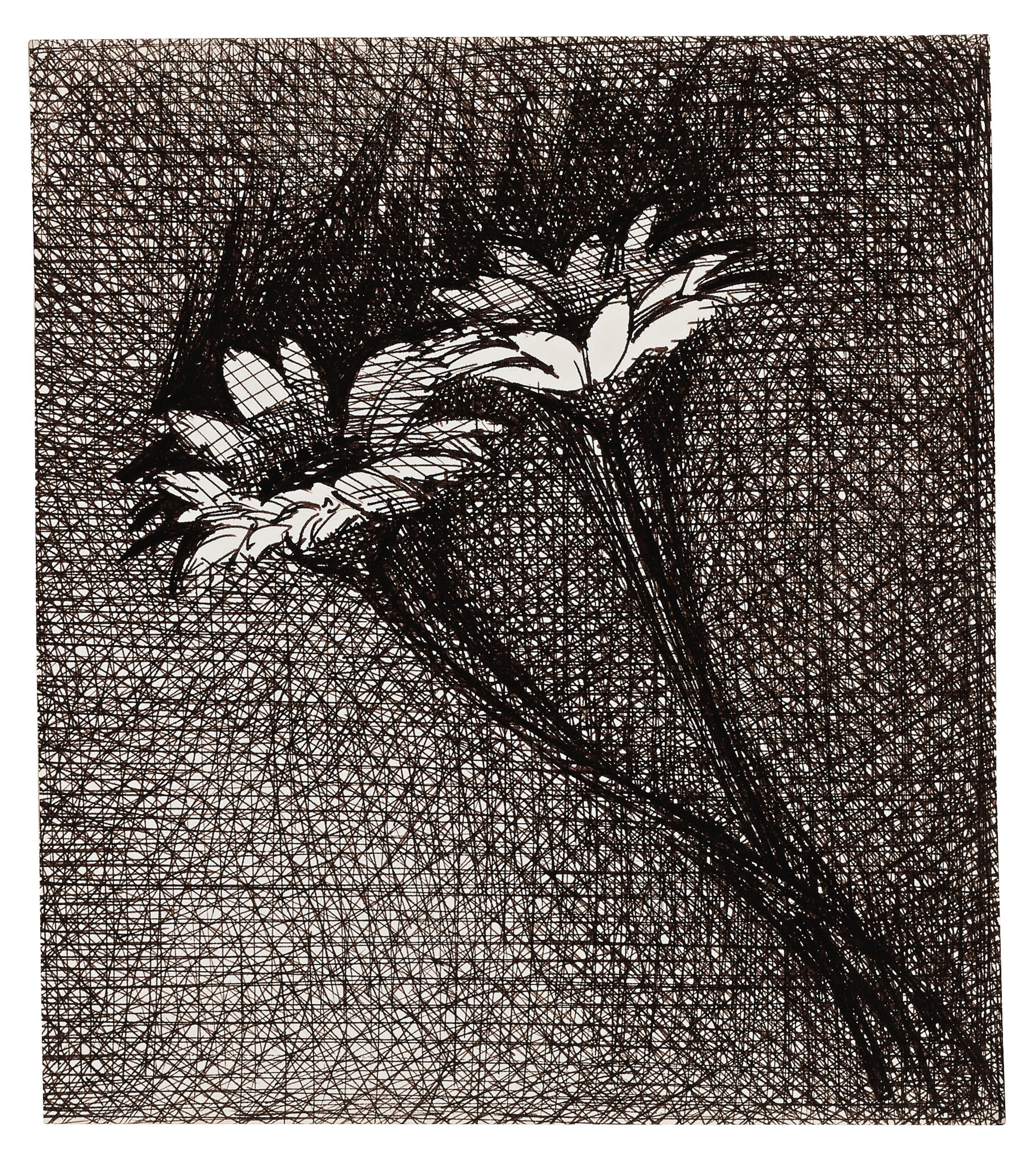 Untitled (Two Flowers)