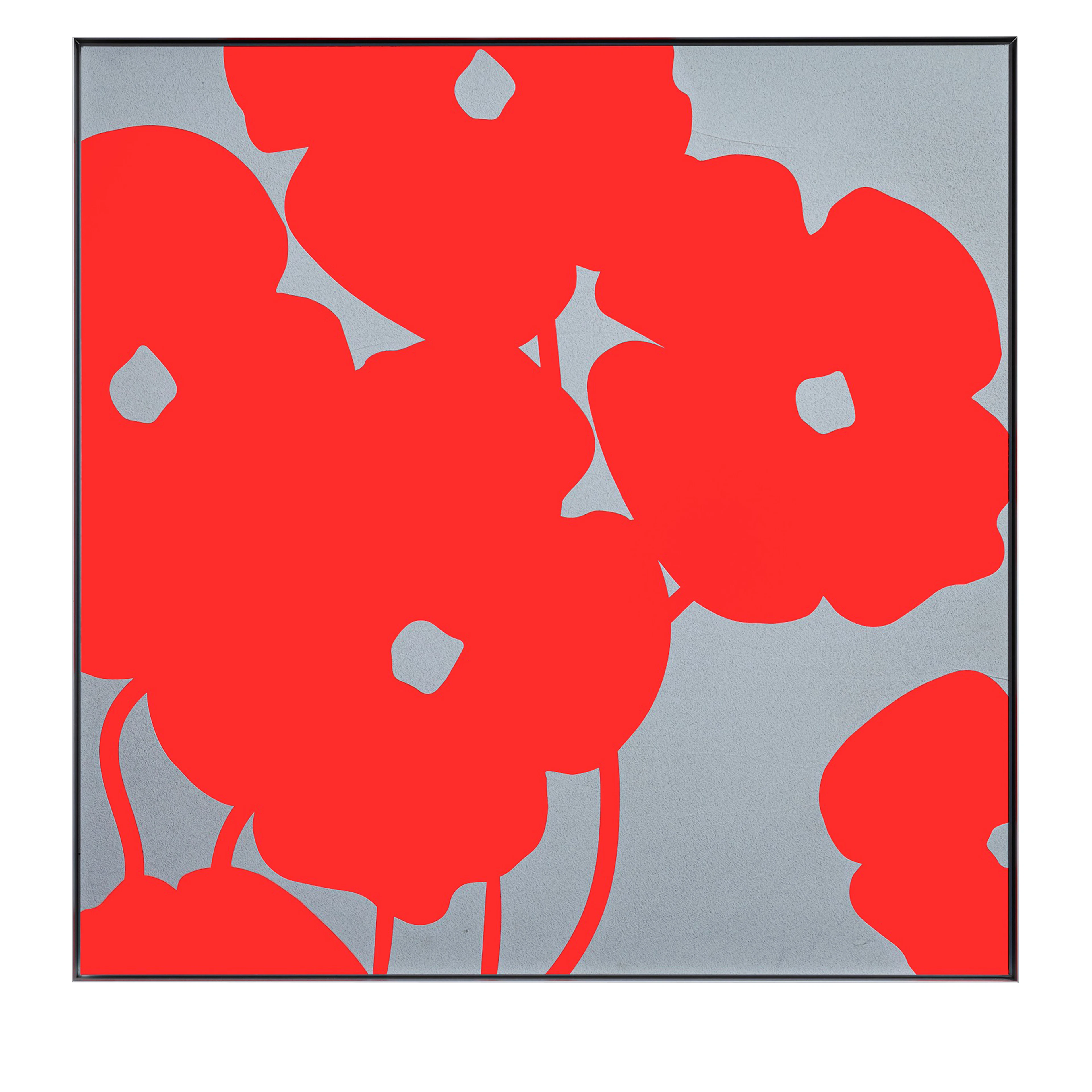 Red Poppies in Cement