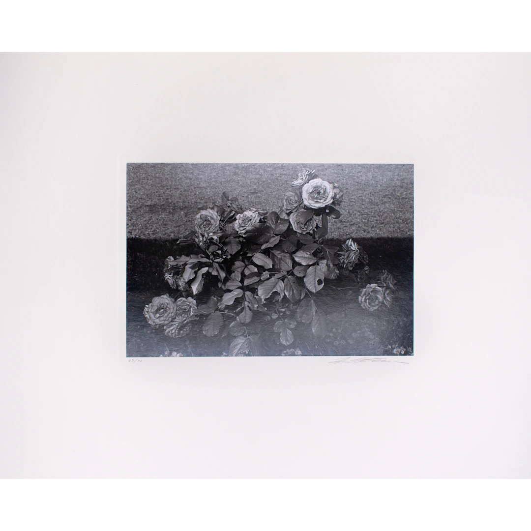 Signed Portfolio of Photographs of Flowers