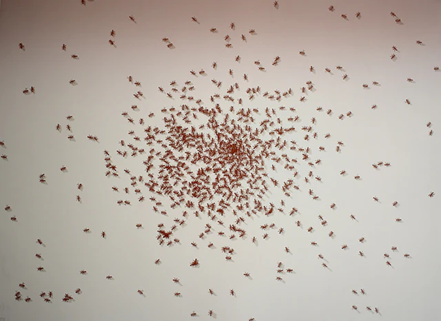 Swarm of Red Ants, from: Insects
