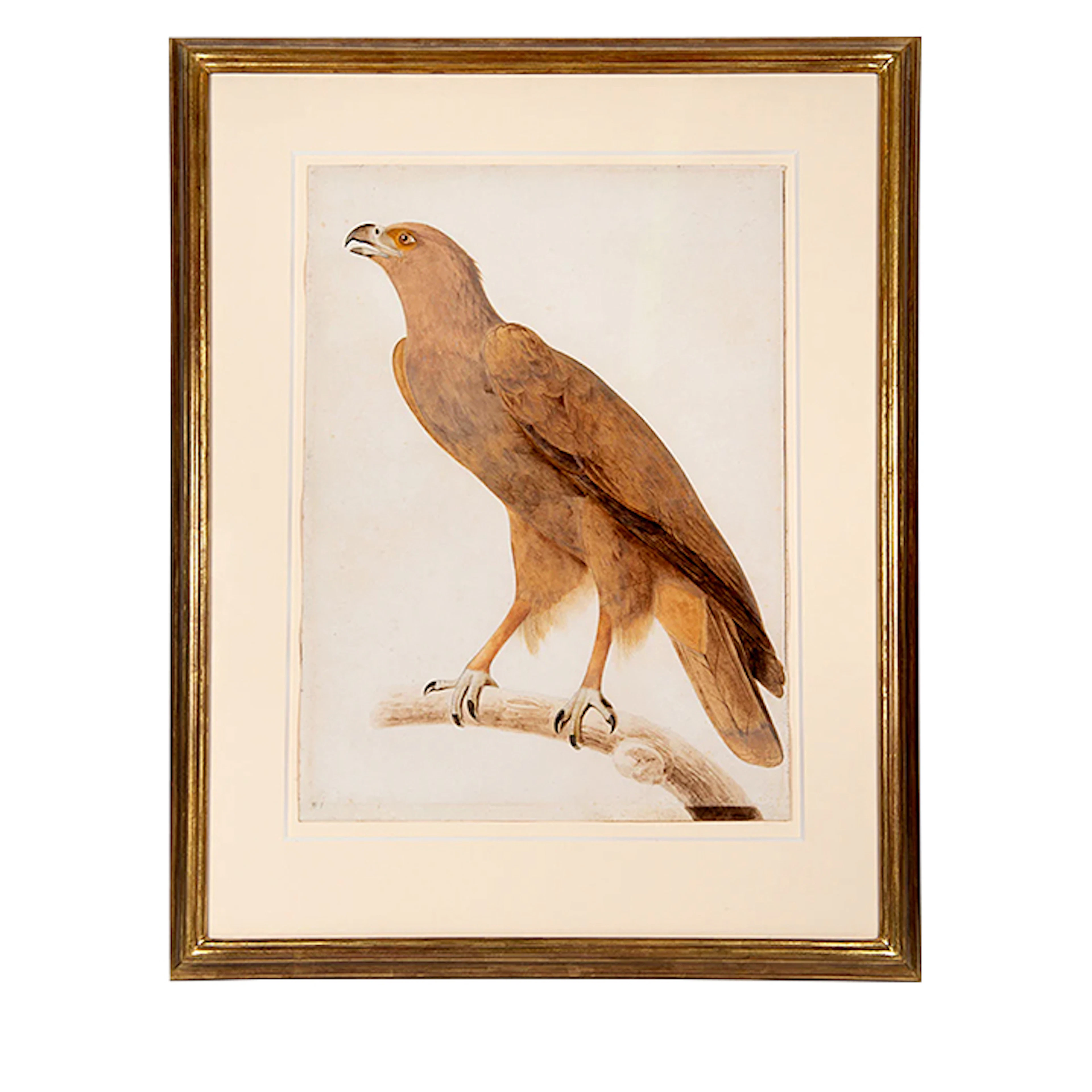 Signed Watercolors for the Description de L'Egypte
