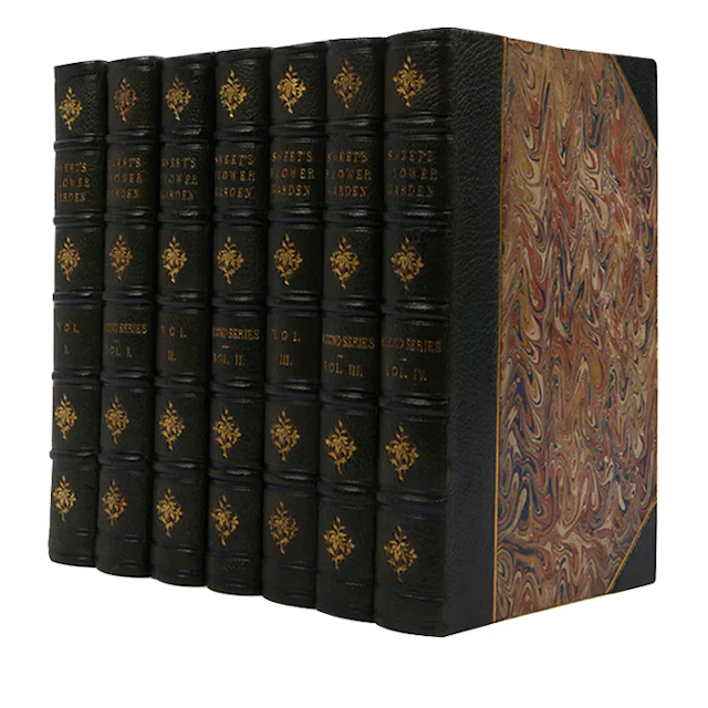 The British Flower Garden First Edition