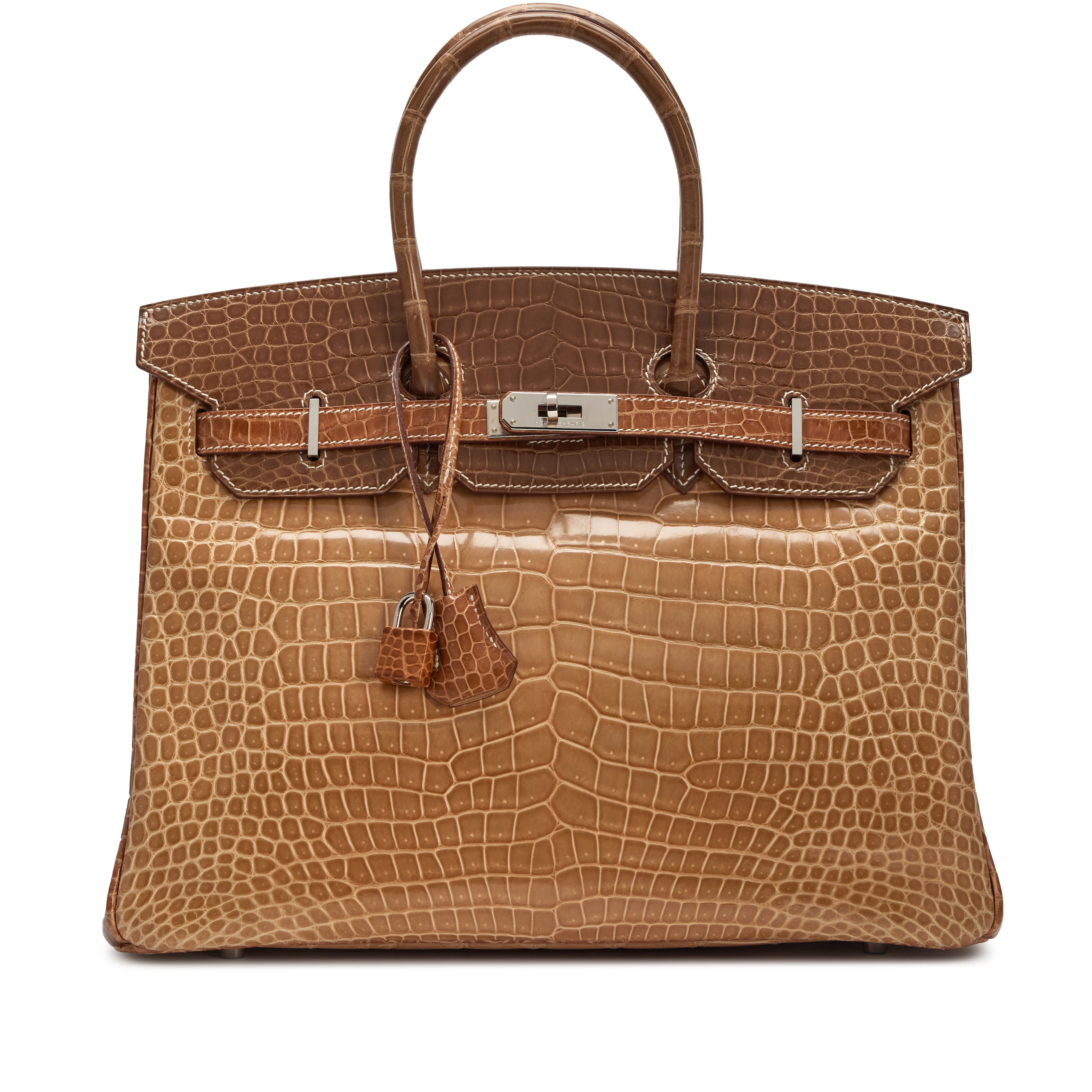Poussiere, Poudre and Ficelle Tri-Color Shiny Porosus Crocodile Birkin