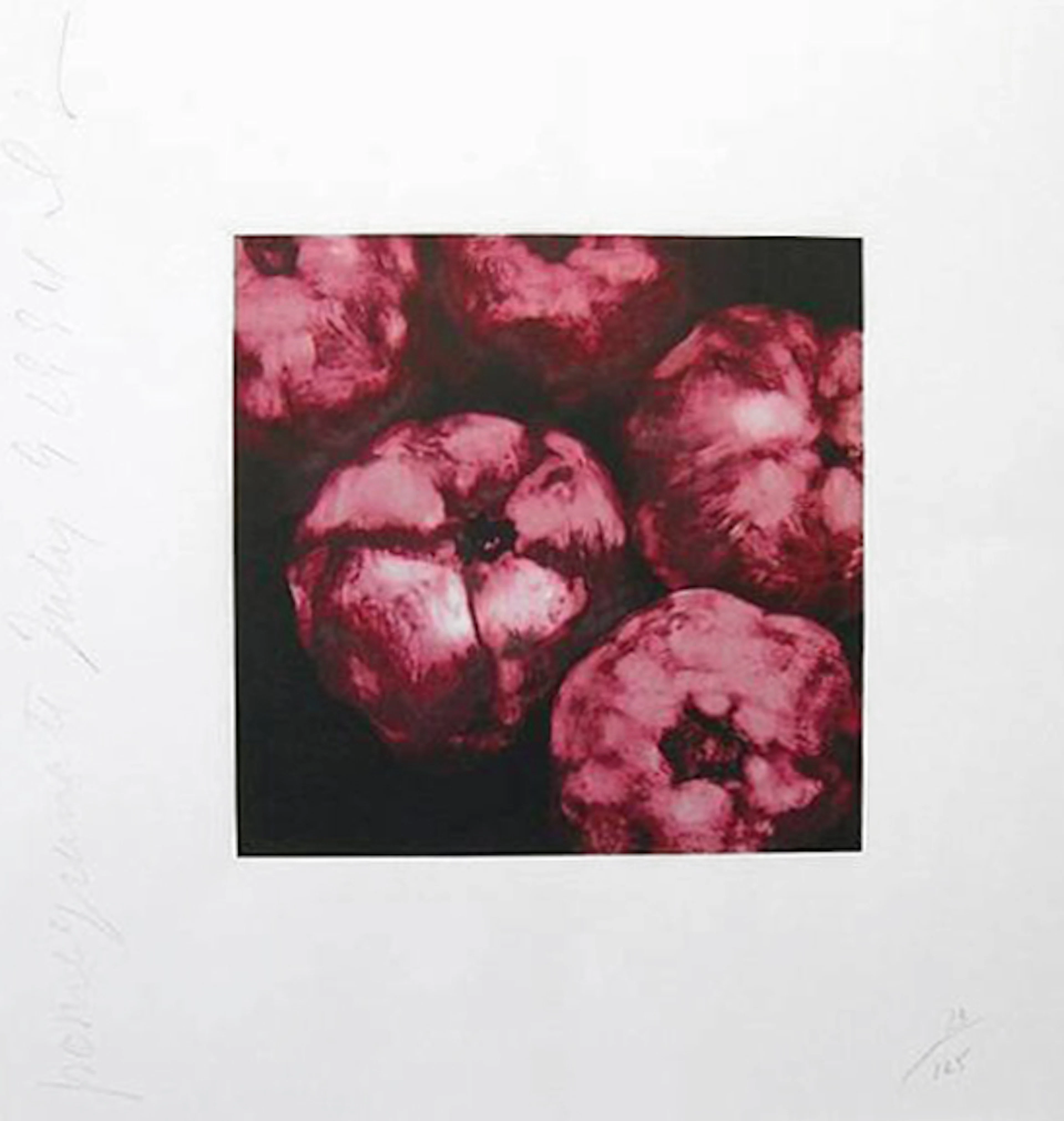Pomegranates | From the Fruits and Flowers Suite