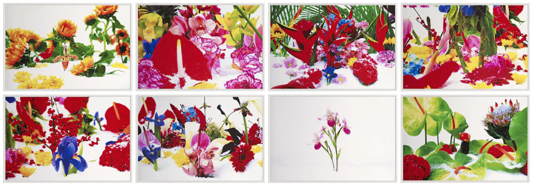 Winter Garden | Set of 8