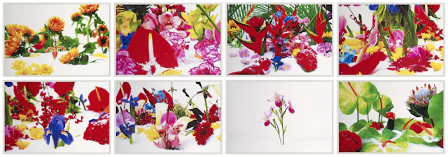 Winter Garden | Set of 8