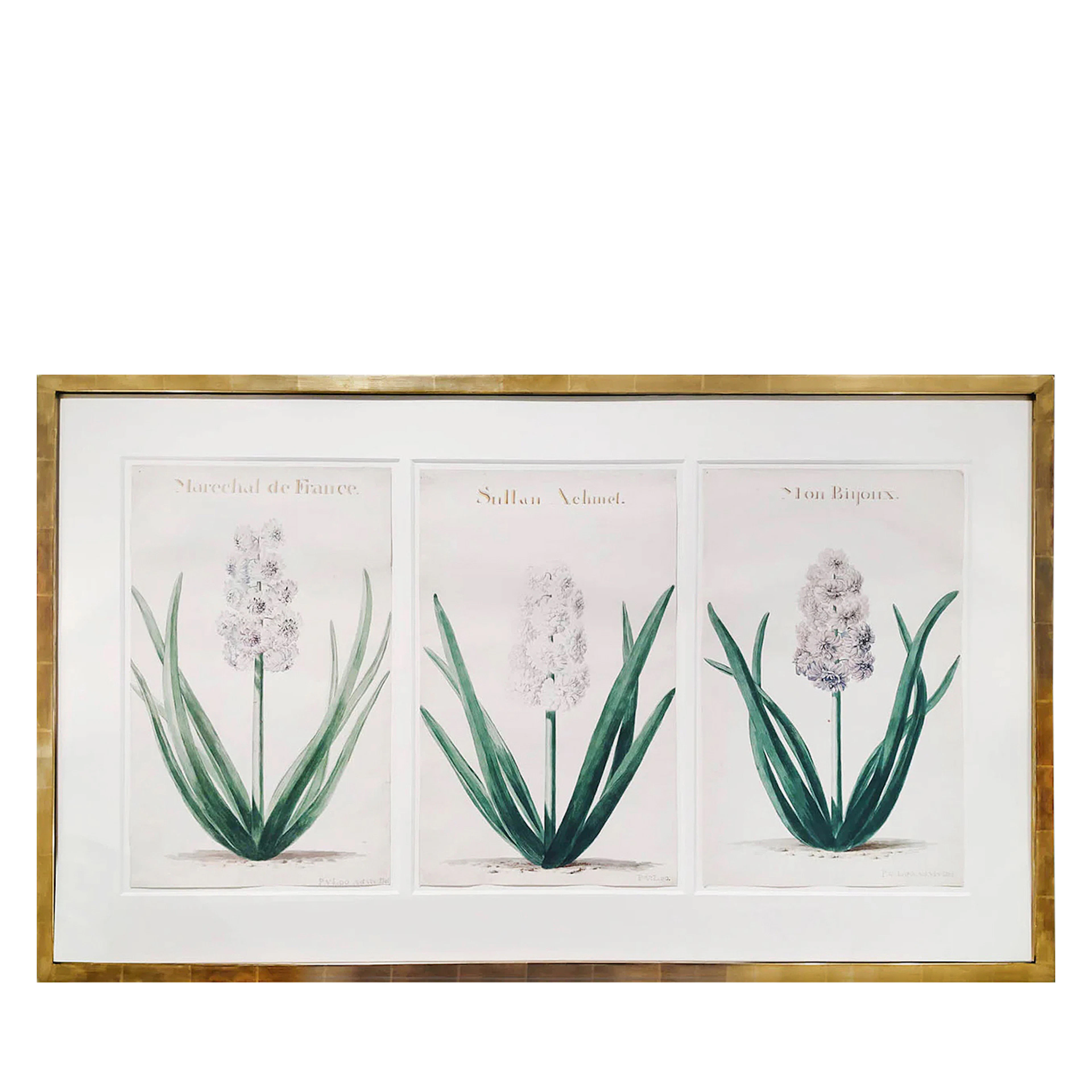 Hyacinths