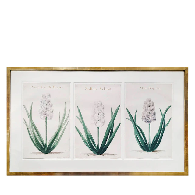 Hyacinths