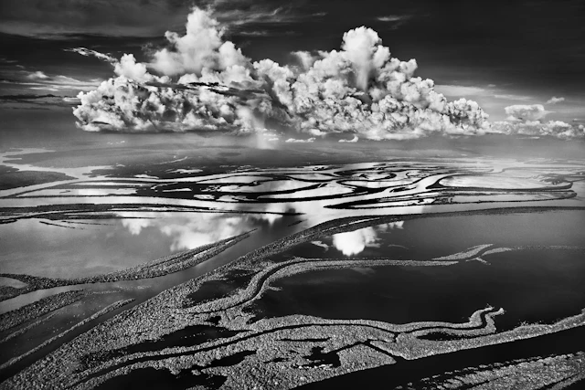Anavilhanas National Park, State of Amazonas, Brazil
