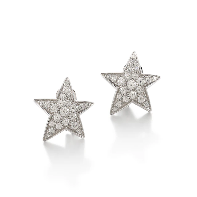 White Gold Comète Earclips