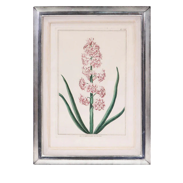 Hyacinths