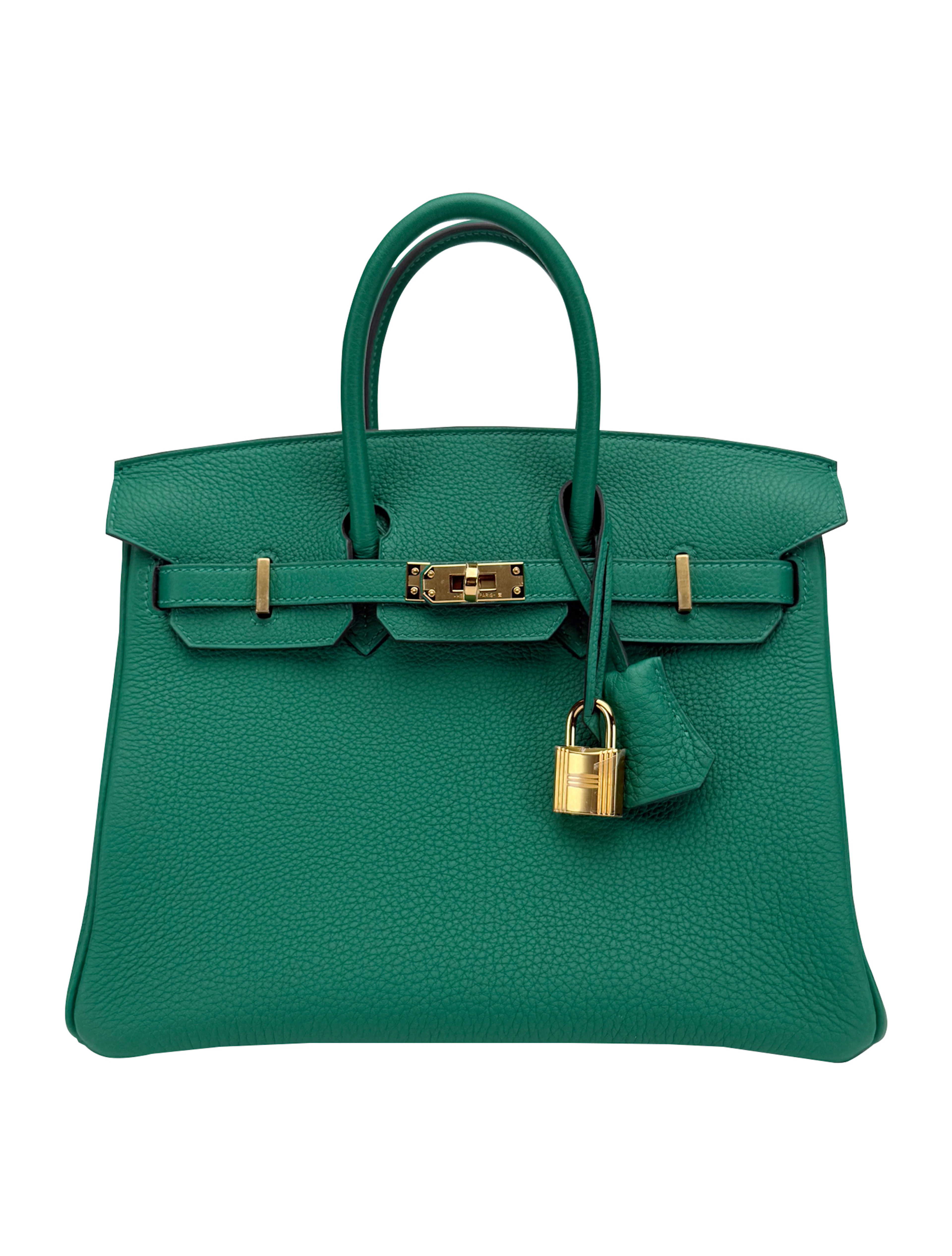 Vert Vertigo Togo Birkin 25 Gold Hardware, 2024