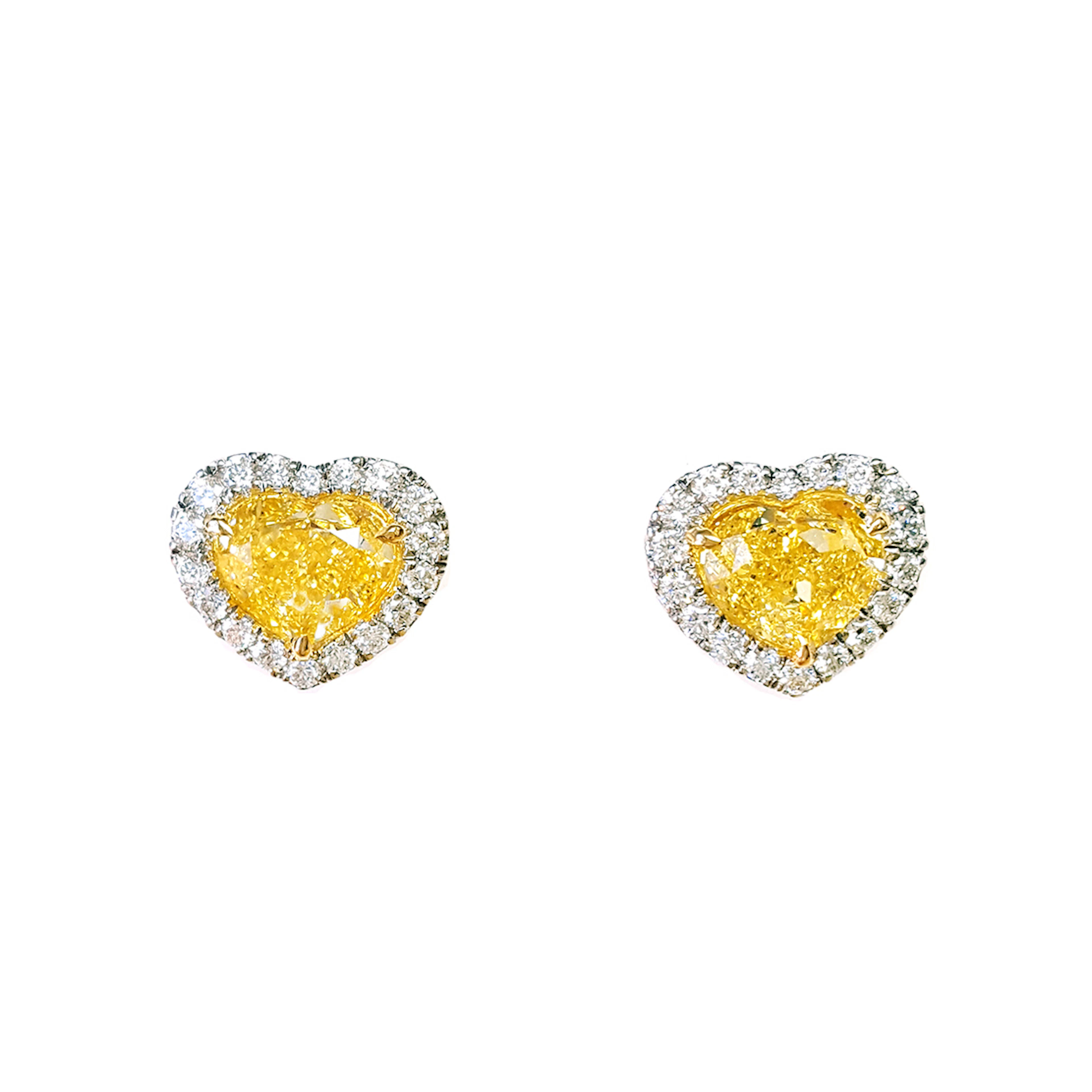 White Gold, Gold, 6.01ctw Fancy Intense Yellow and Diamond Stud Earrings