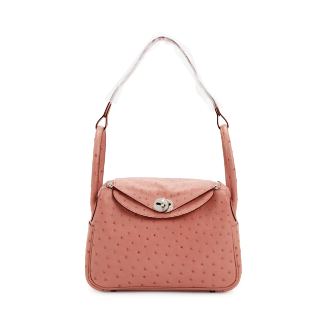 Terre Cuite Ostrich Lindy 26 Palladium Hardware, 2015