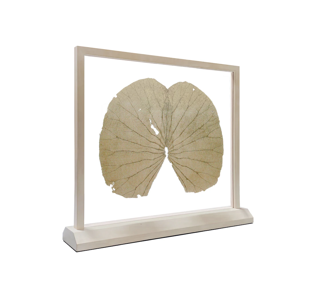 Lotus Leaves (The Full Leaf)