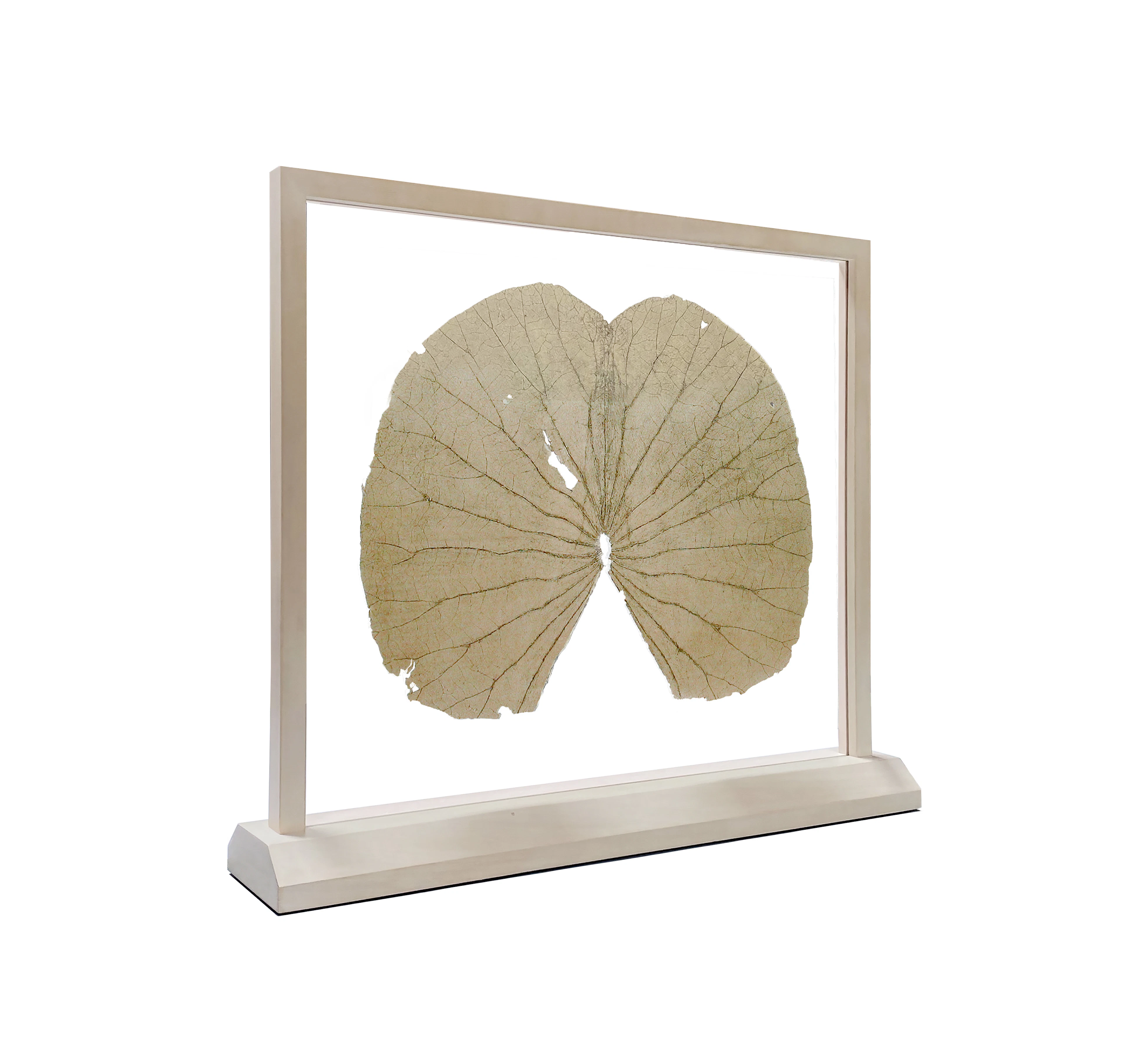 Lotus Leaves (The Full Leaf)