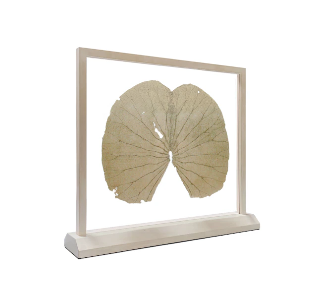 Lotus Leaves (The Full Leaf)