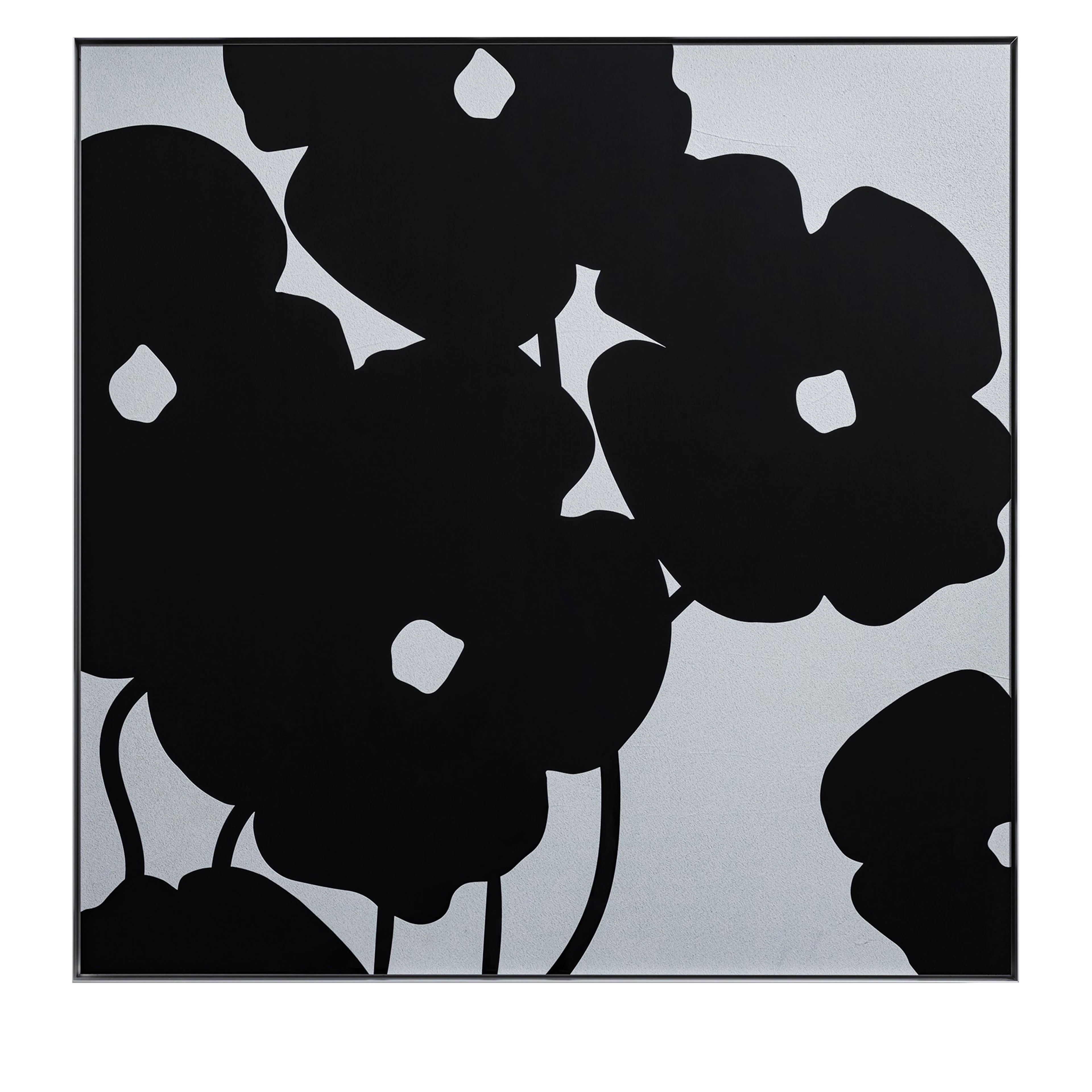 Black Poppies in Cement