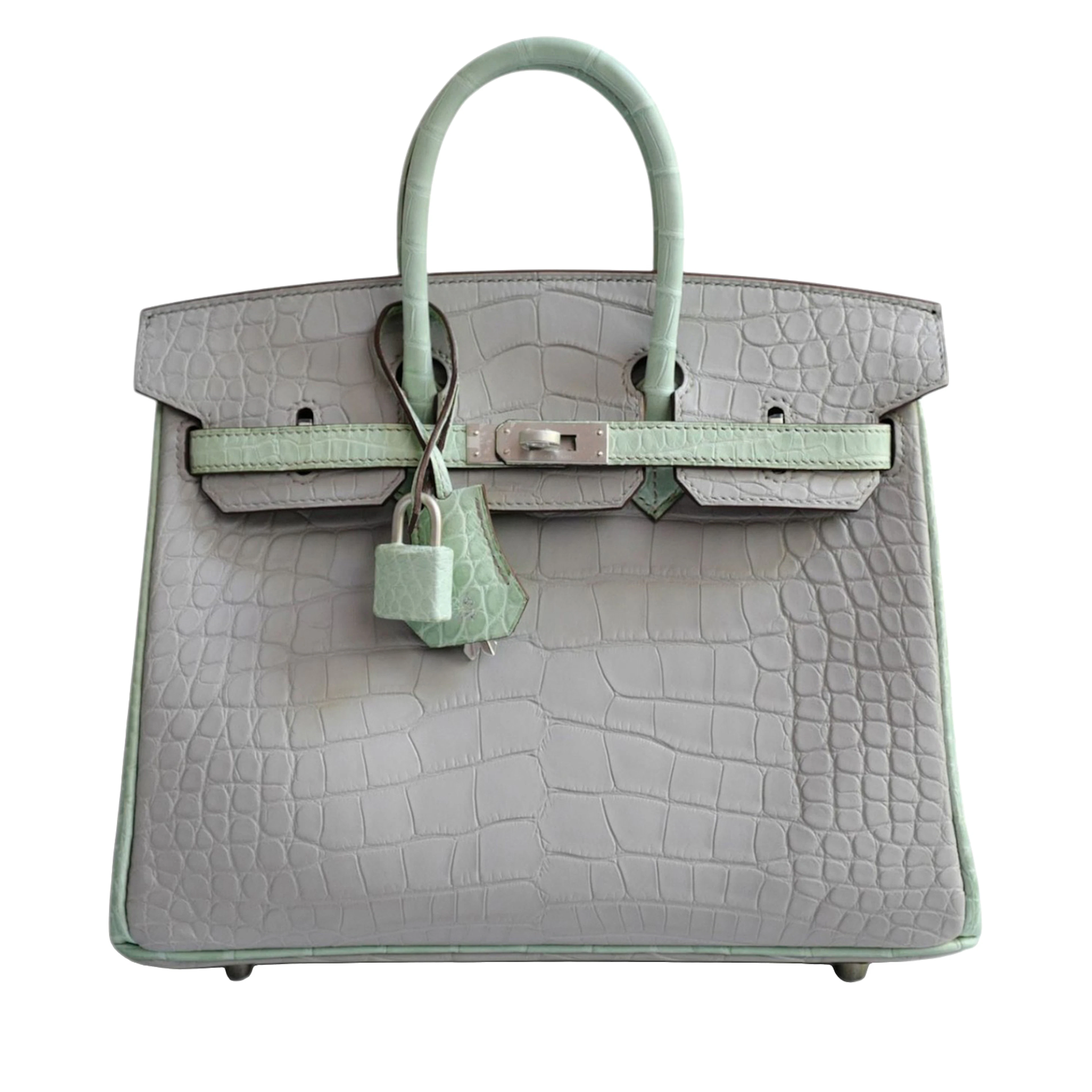 Vert D'eau and Gris Perle Matte Crocodile HSS Birkin 25 Brushed Palladium