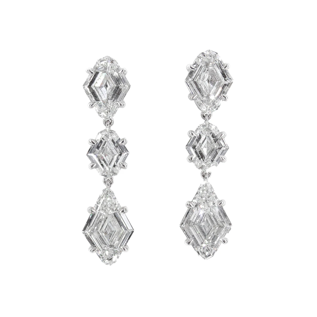 Platinum and Diamond Drop Earrings