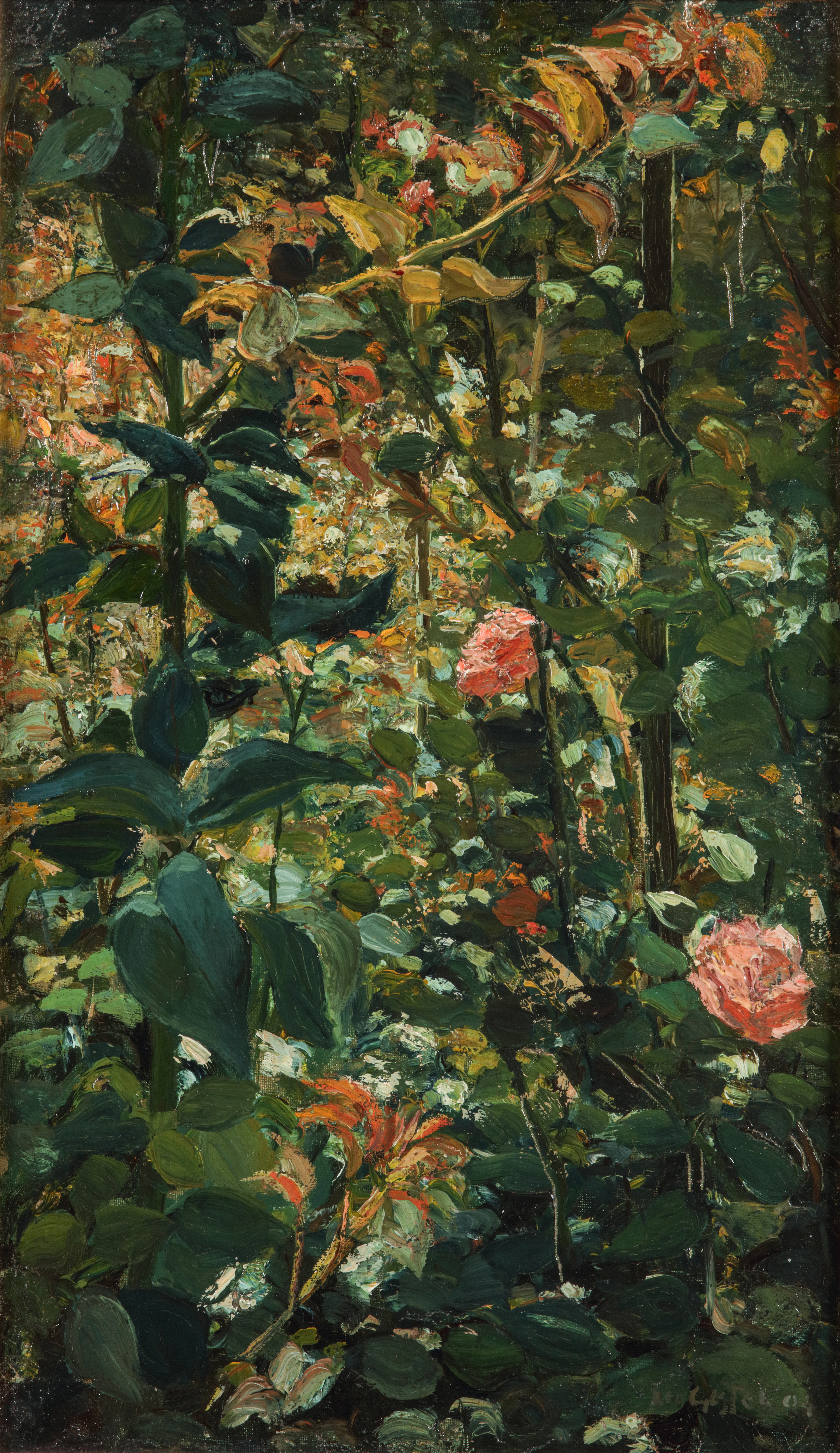 Rozen (Roses)