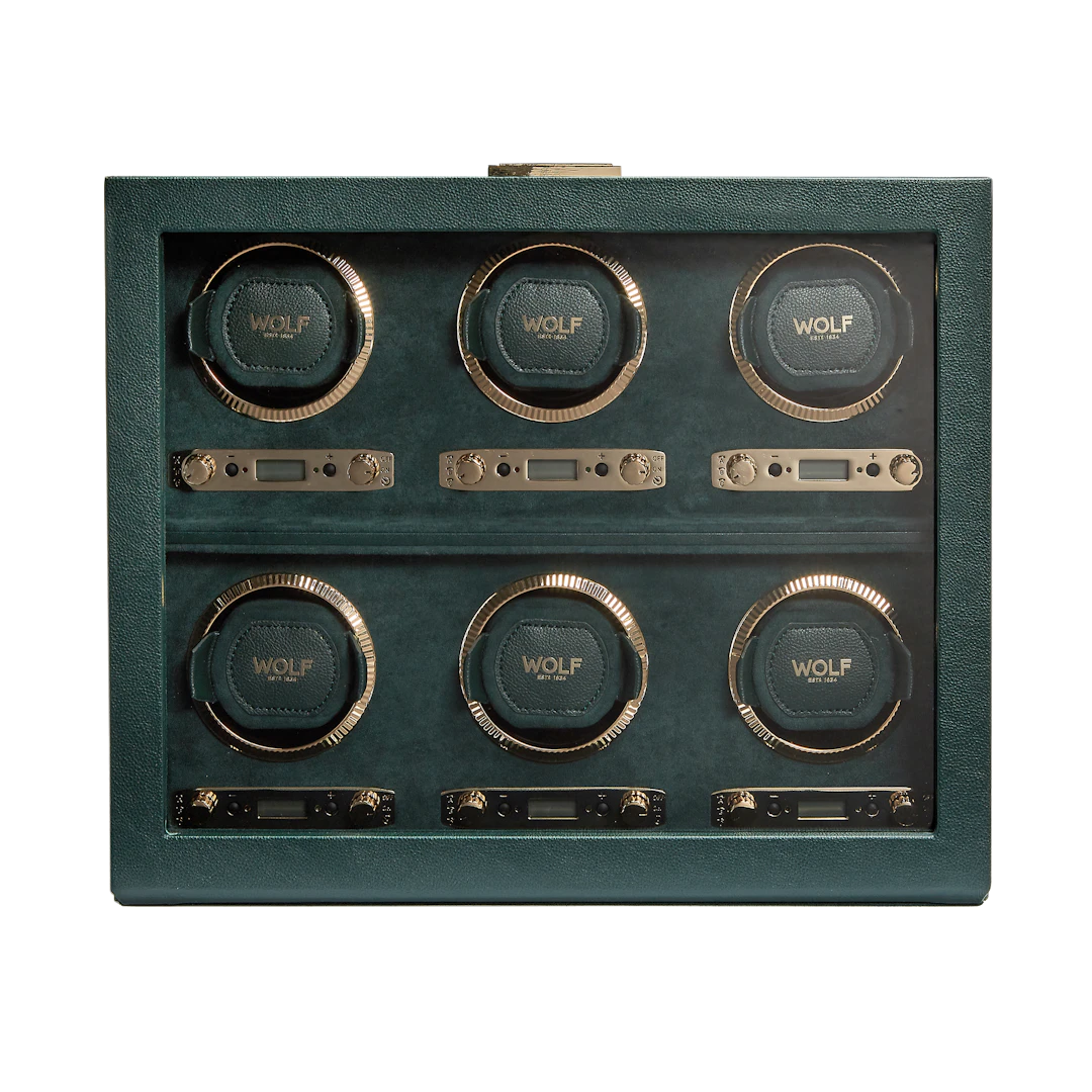 British Racing 6-Piece Watch Winder In Green