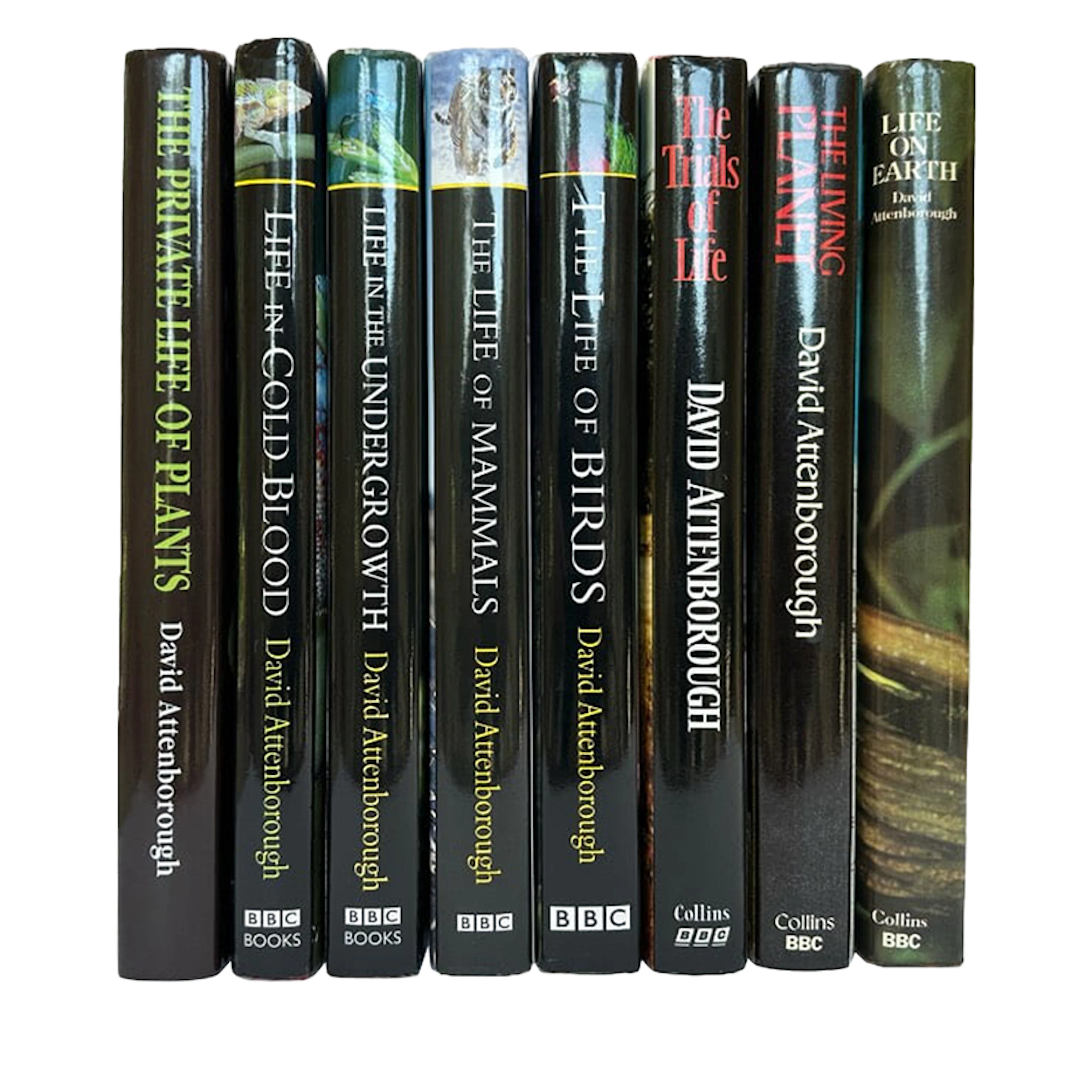 Life On Earth Signed First Editions