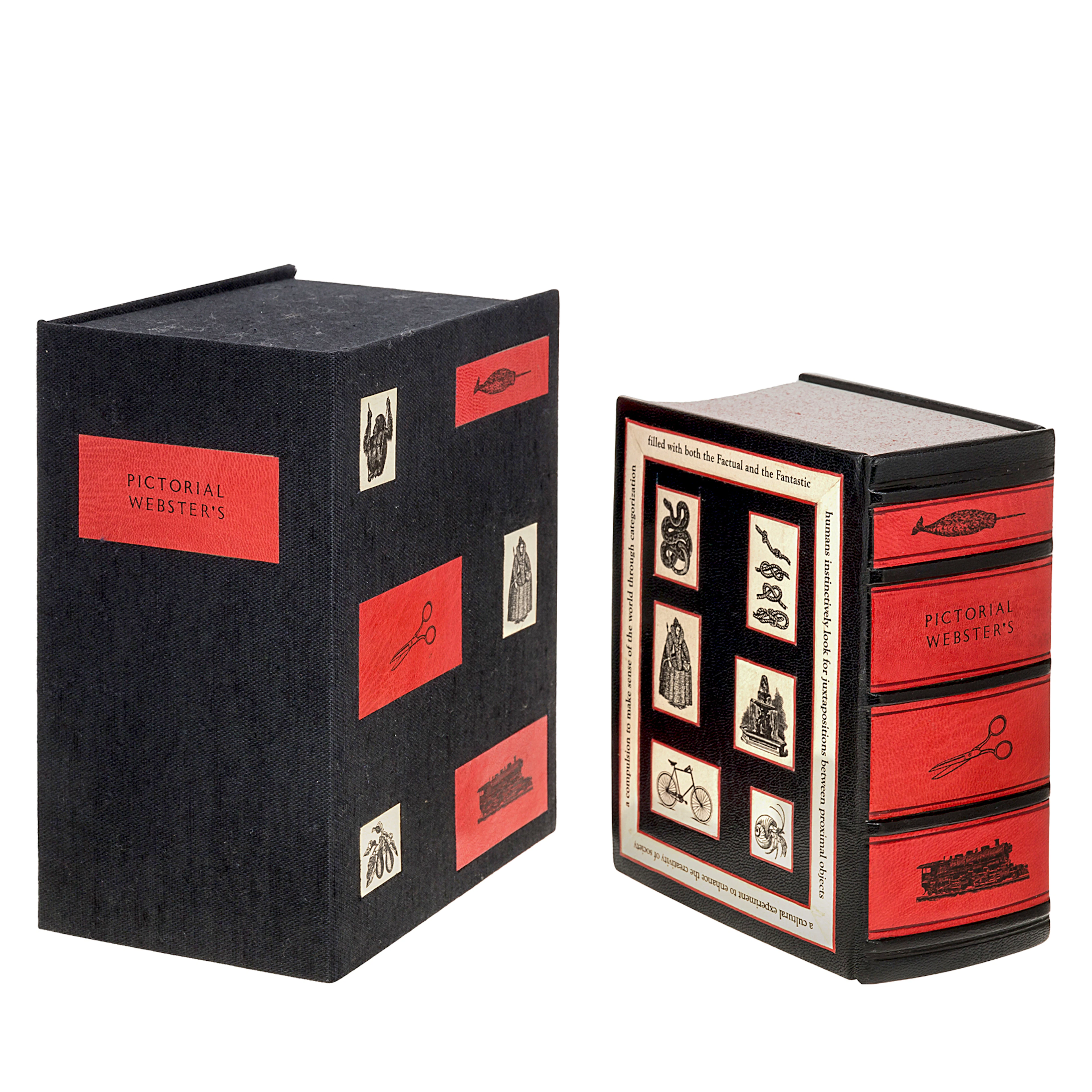 Pictorial Webster’s: A Visual Dictionary of Curiosities