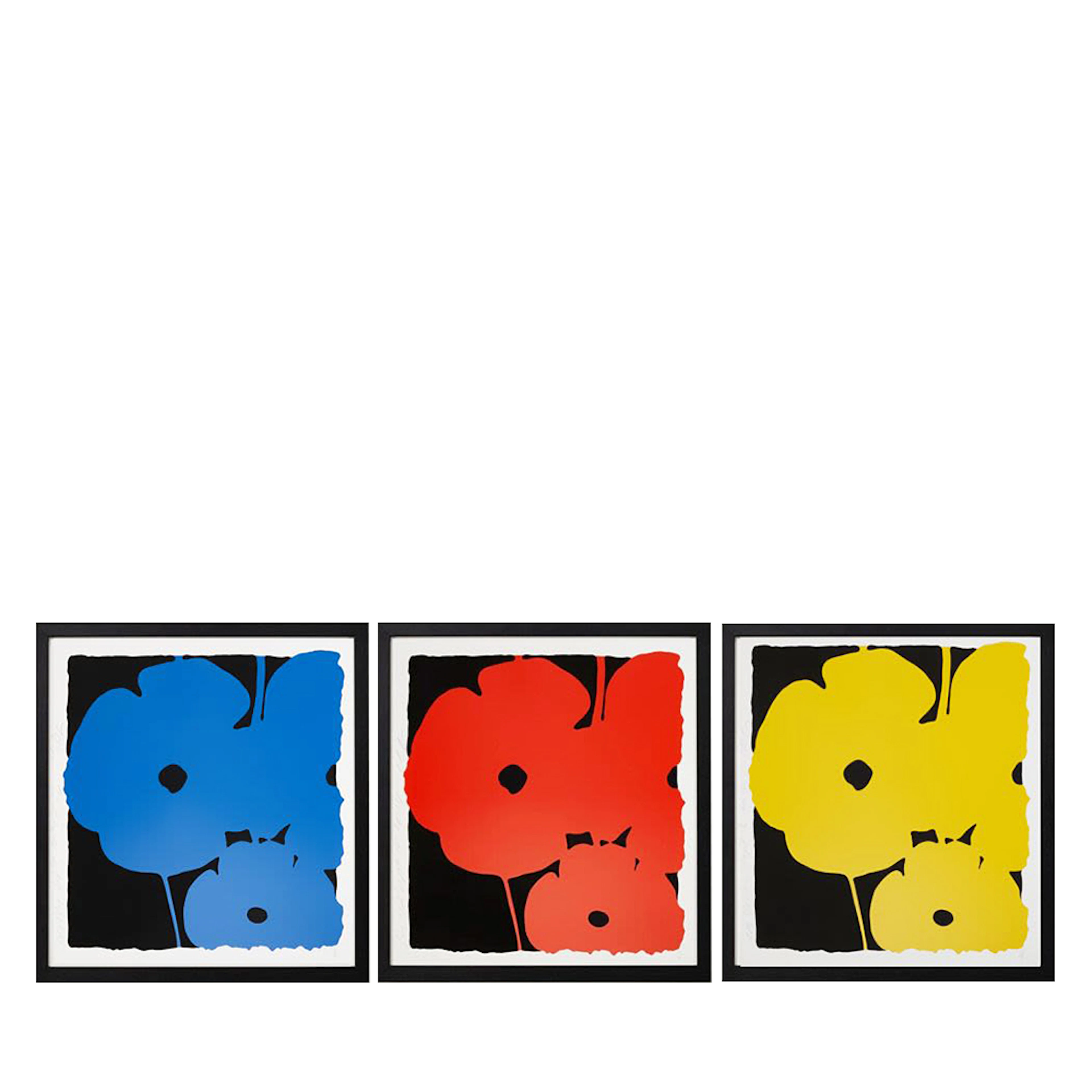 Big Poppies Signed Prints