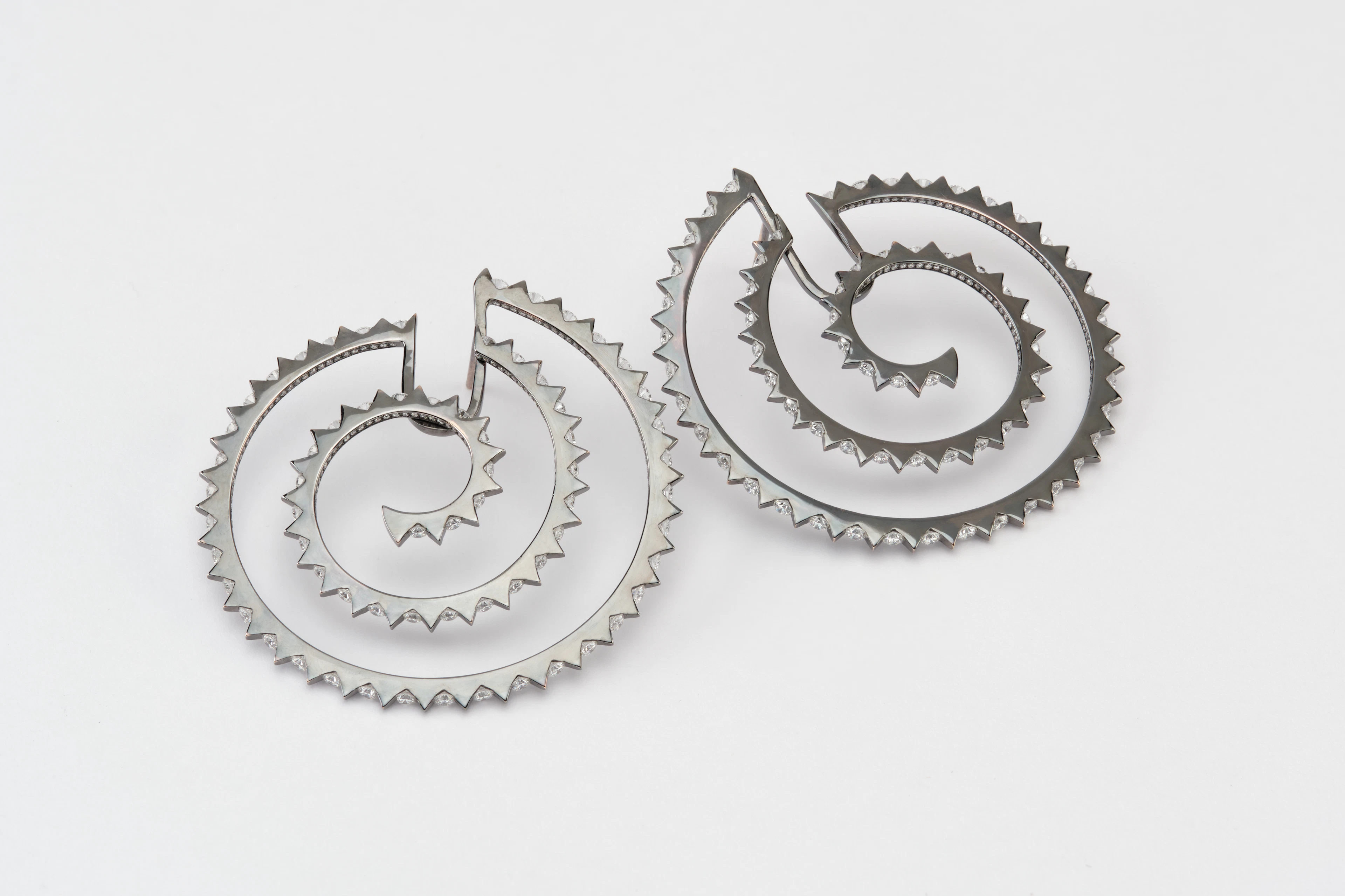 Cacti Spiral Hoops