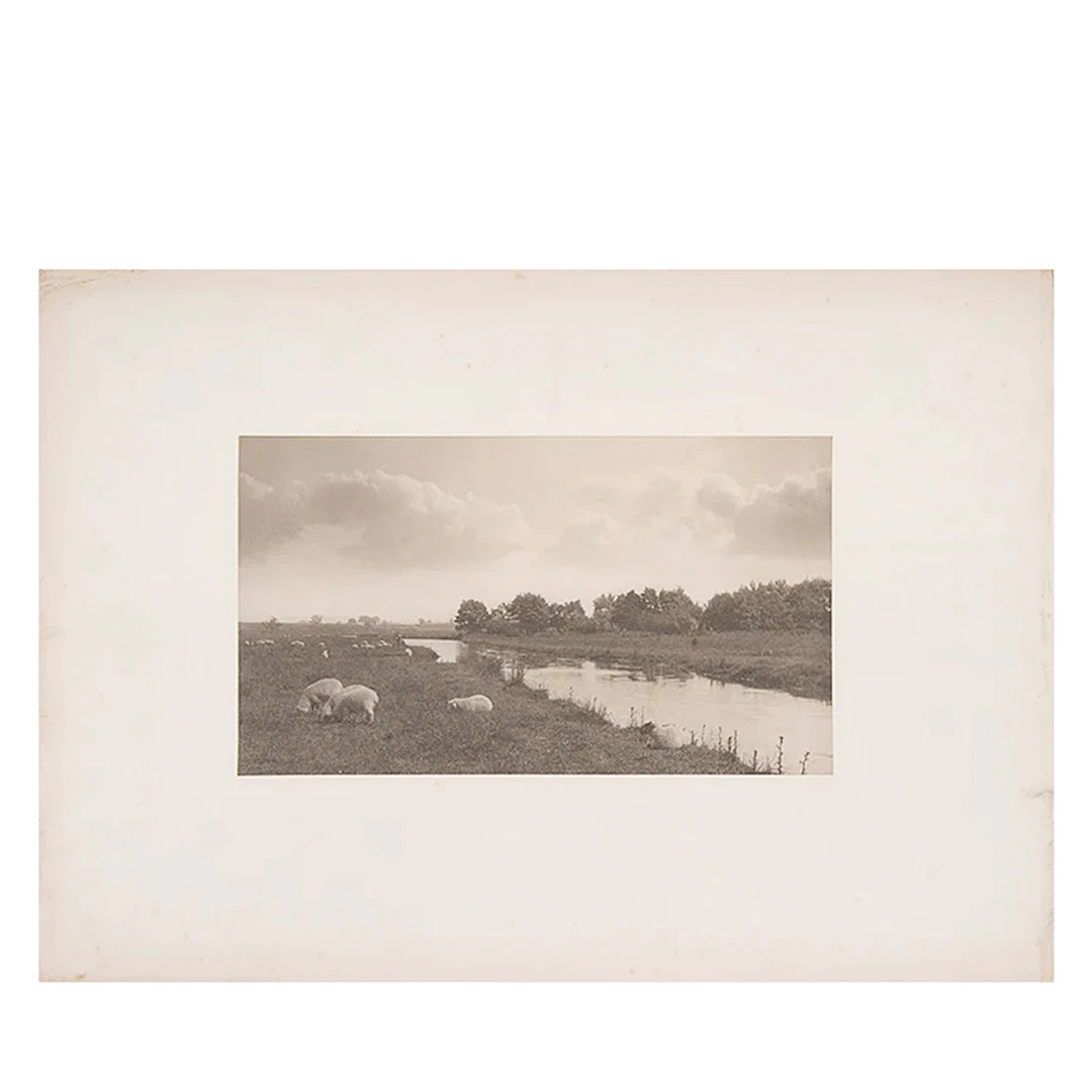 Life and Landscape on the Norfolk Broads