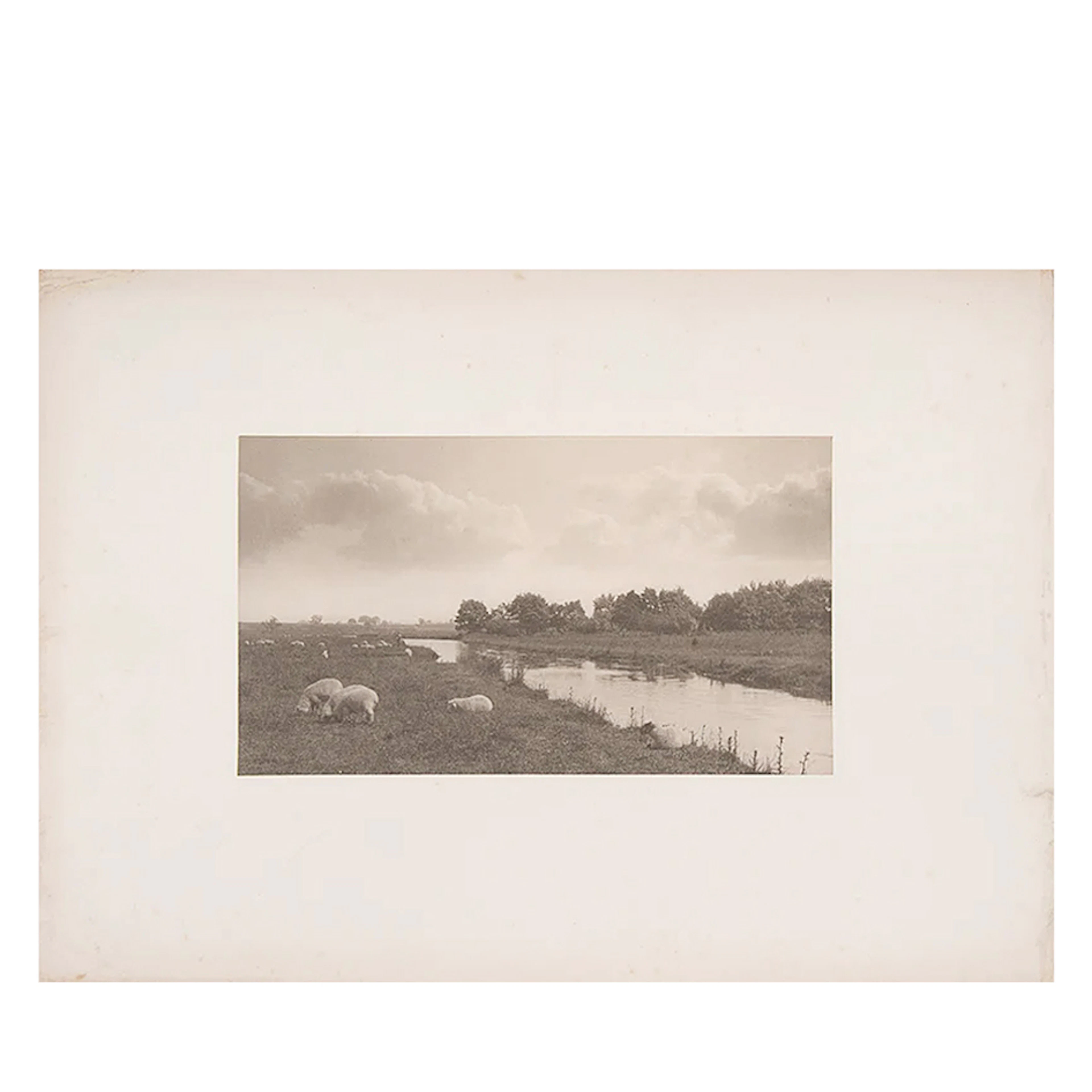 Life and Landscape on the Norfolk Broads